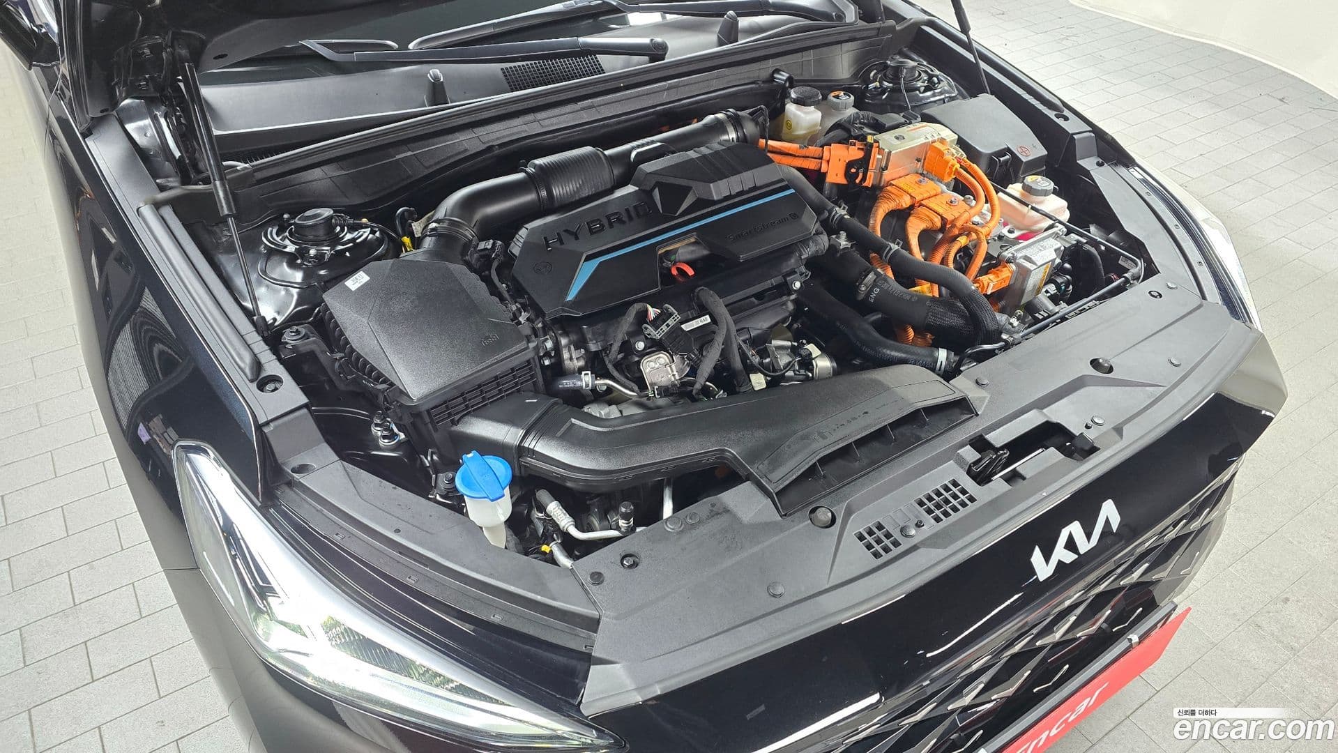 Main__Slider__Photo:K8 Kia 2021.11-5