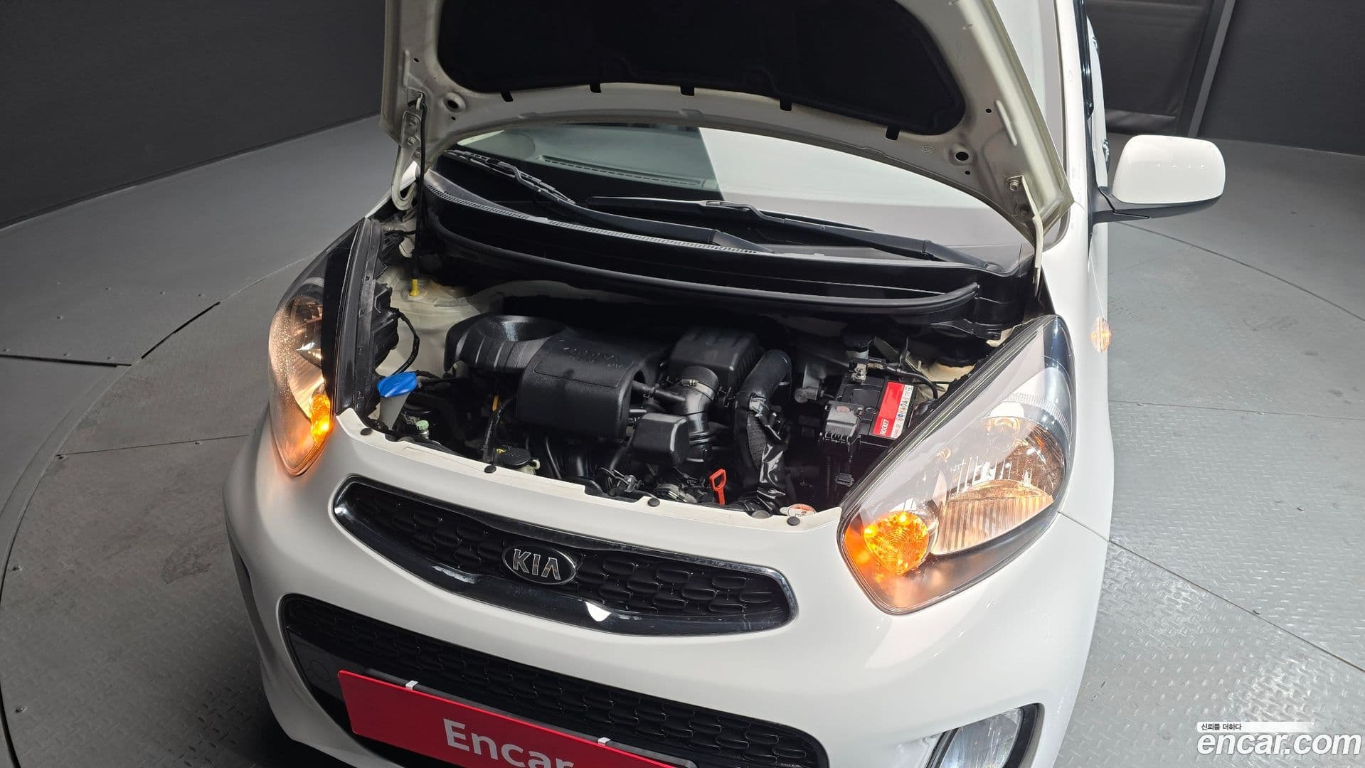 Main__Slider__Photo:morning Kia 2015.8-5