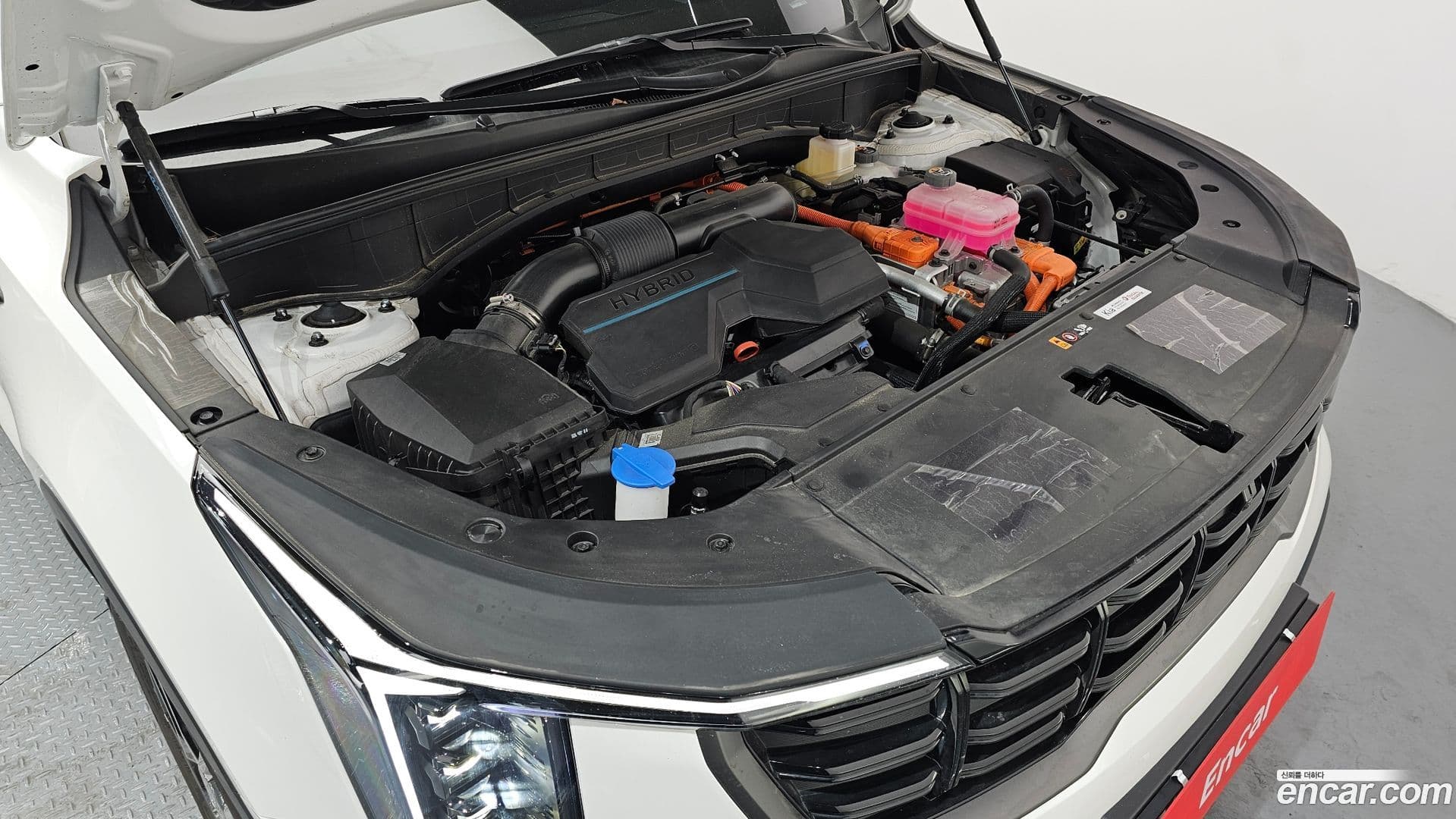 Main__Slider__Photo:Sorento Kia 2024.0-5