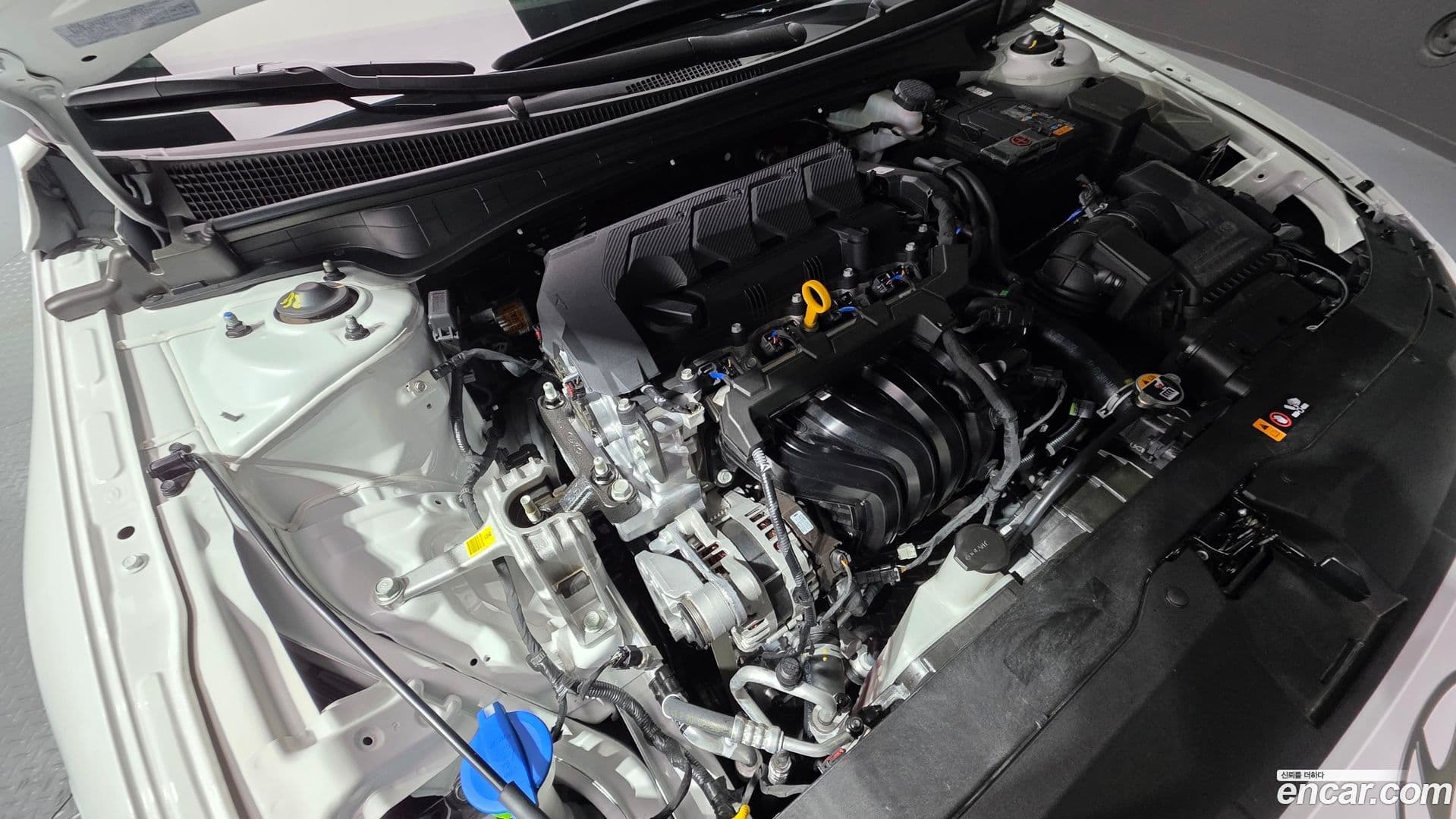 Main__Slider__Photo:AVANTE Hyundai 2025.3-5