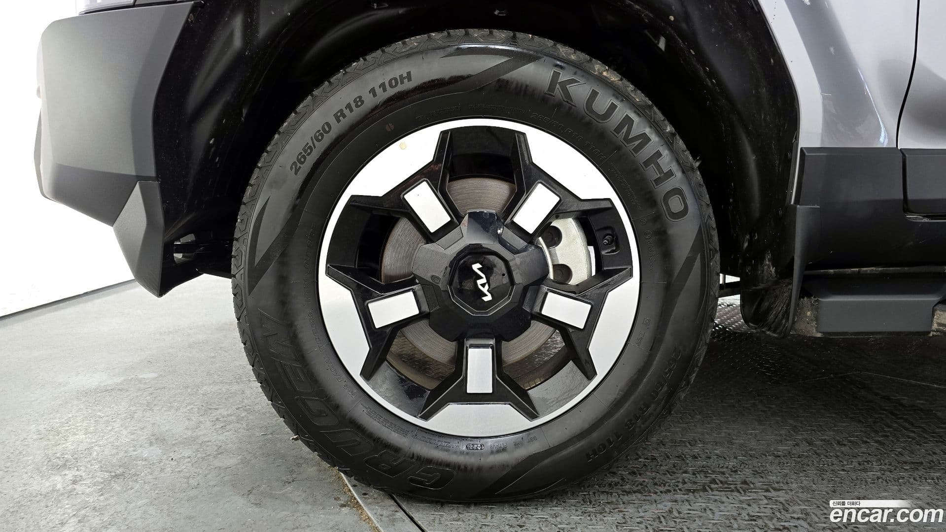 Main__Slider__Photo:Tasman Kia 2025.3-4