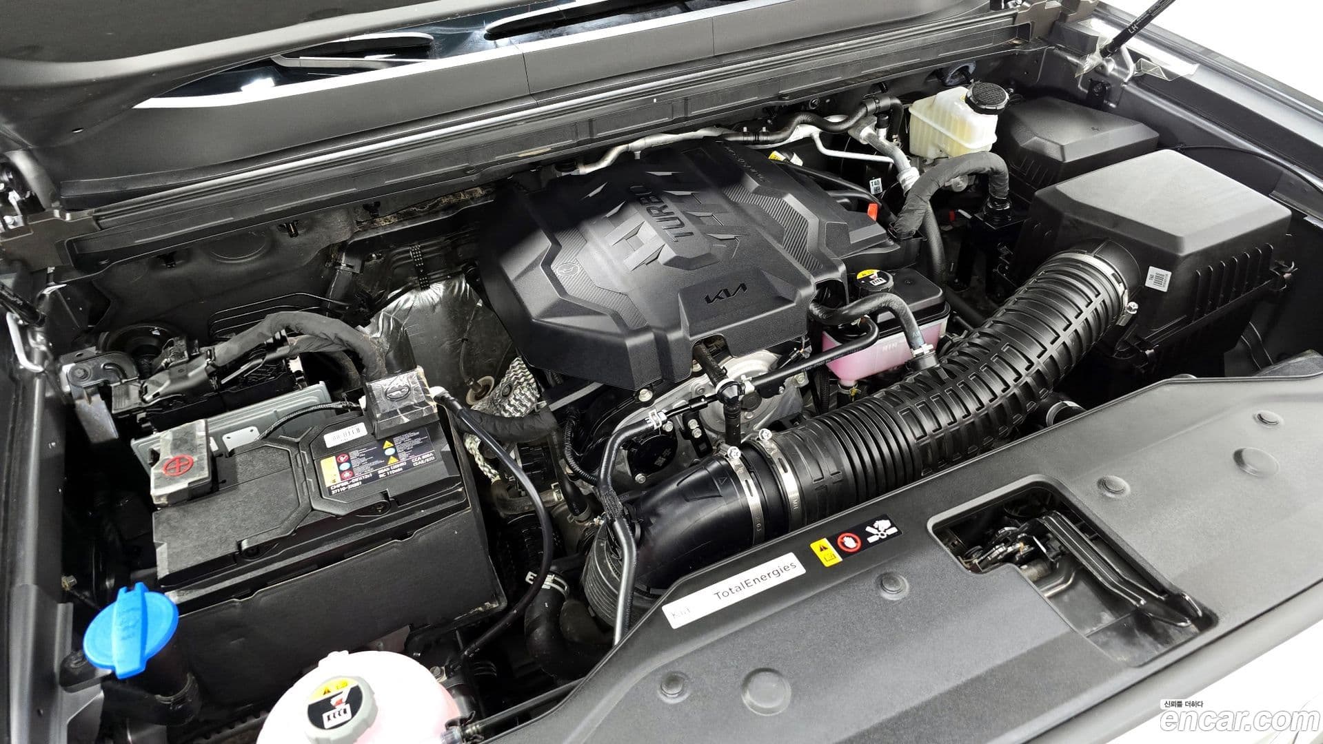 Main__Slider__Photo:Tasman Kia 2025.3-5