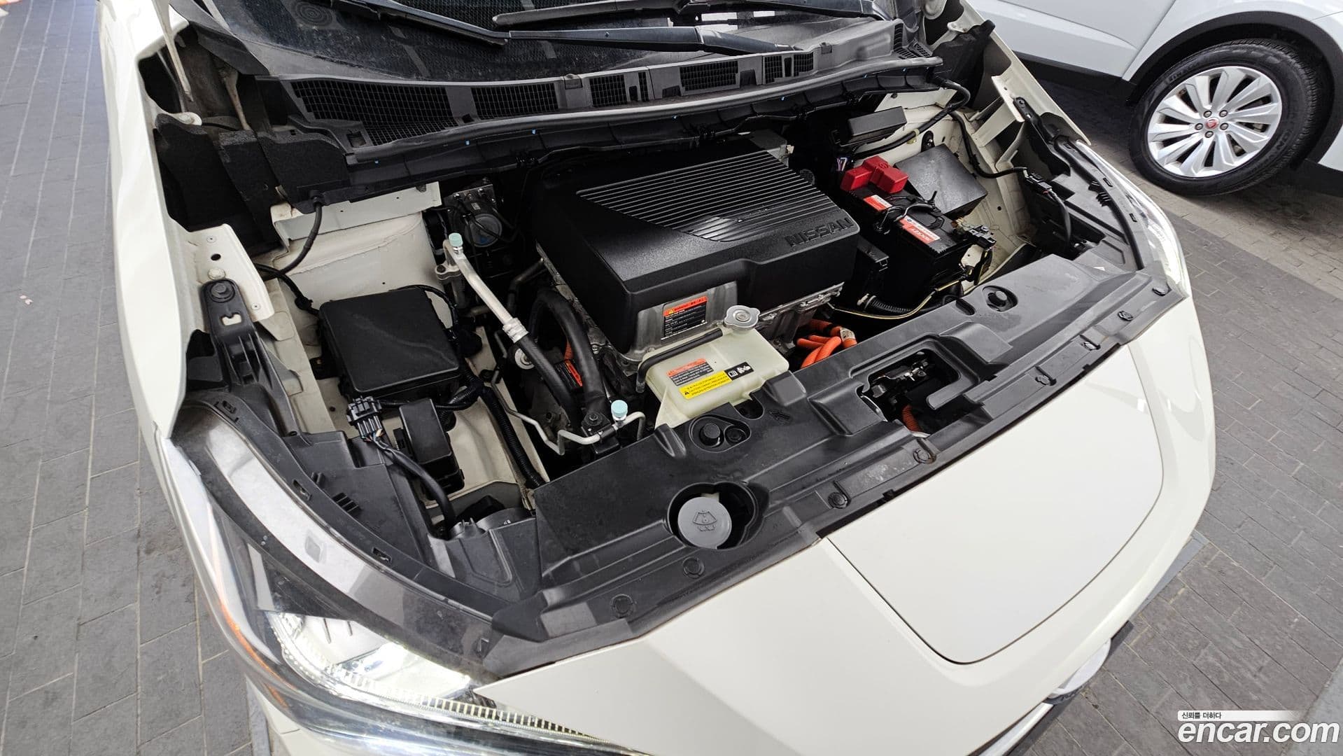 Main__Slider__Photo:Leaf Nissan 2019.2-5