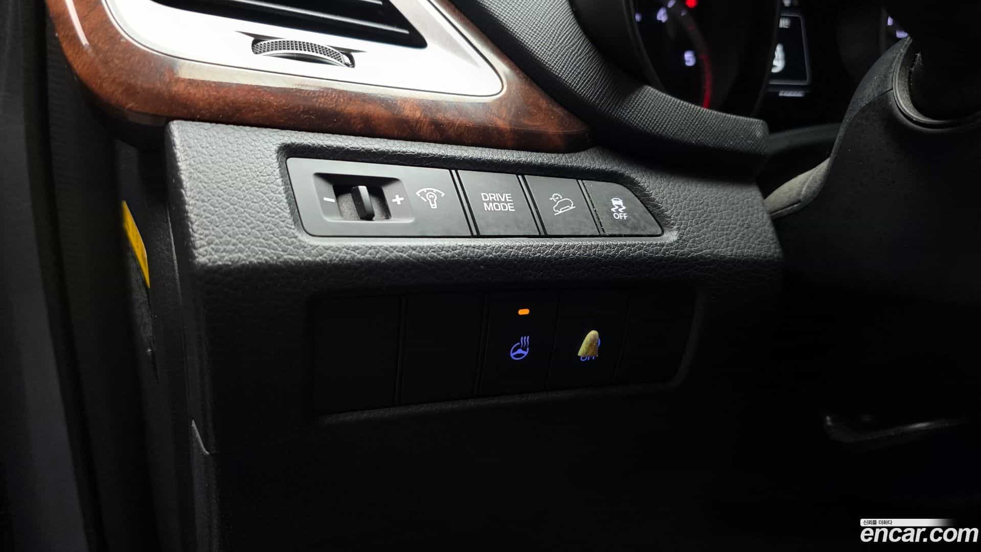 Santafe Hyundai 2017.4-OPTION-018