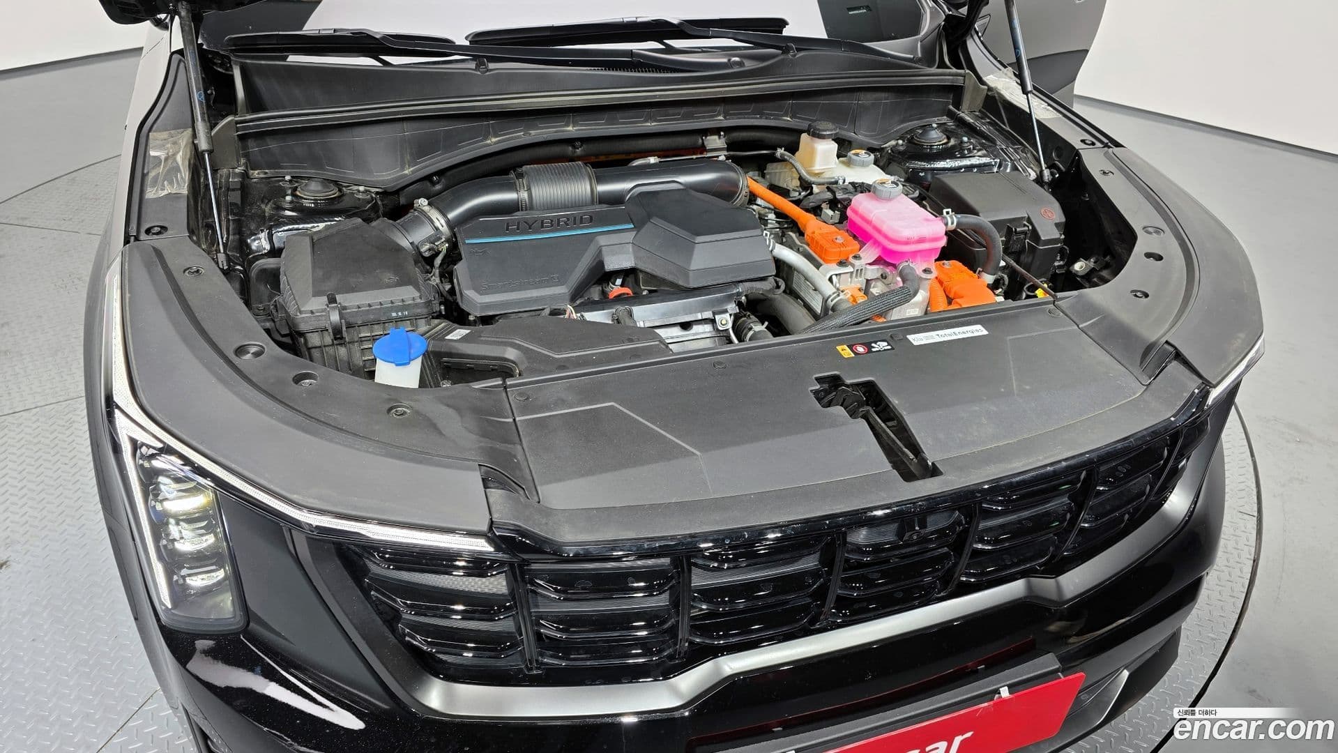 Main__Slider__Photo:Sorento Kia 2024.9-5