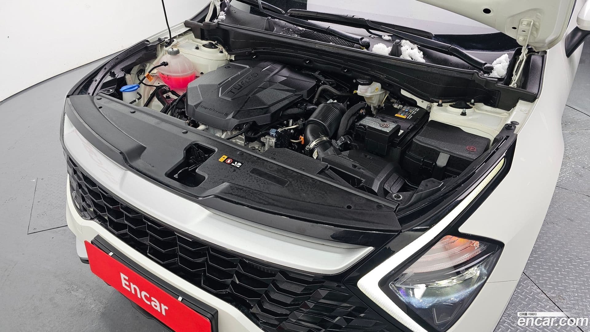 Main__Slider__Photo:Sportage Kia 2022.0-5