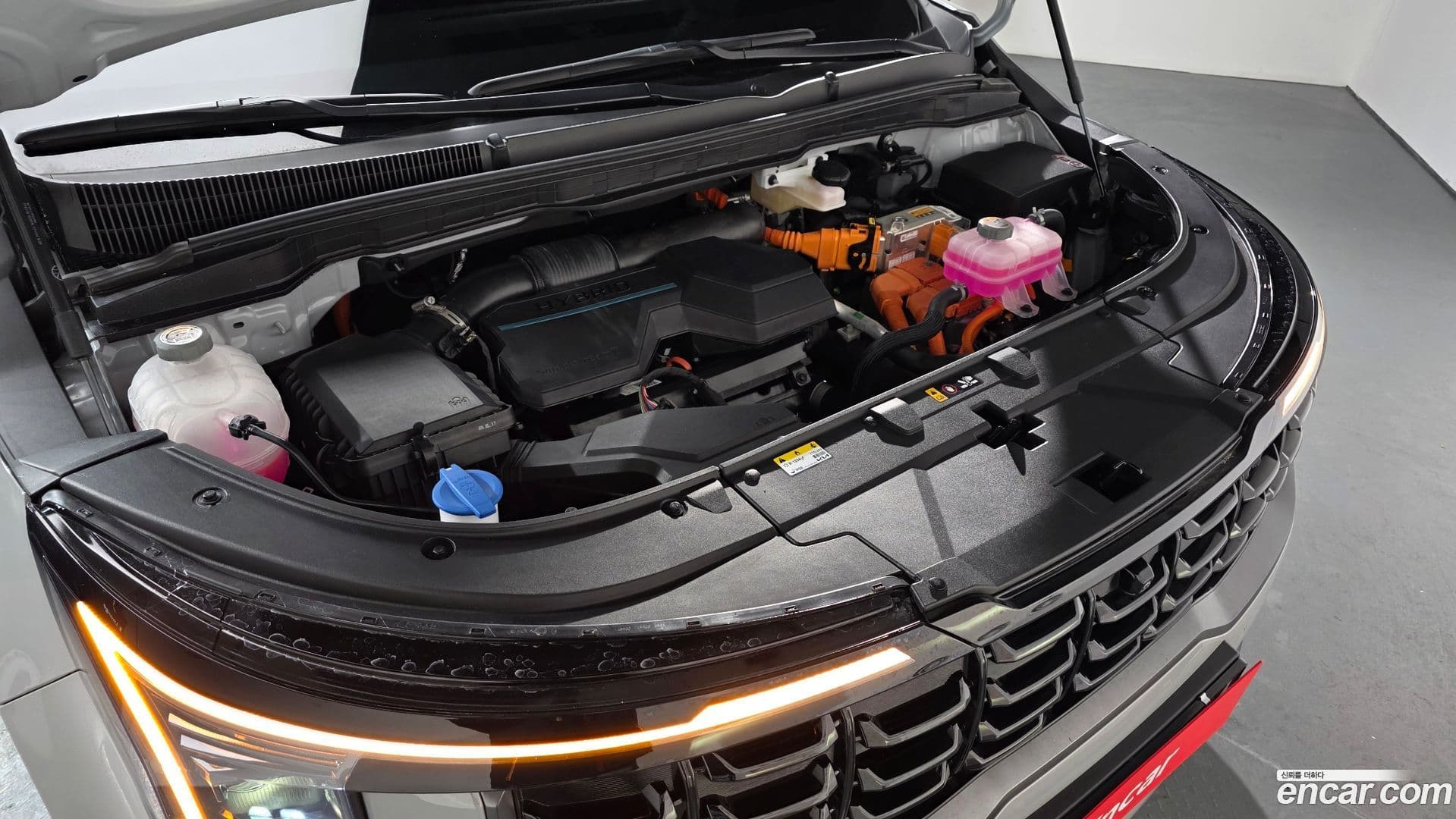 Main__Slider__Photo:Canival Kia 2024.6-5