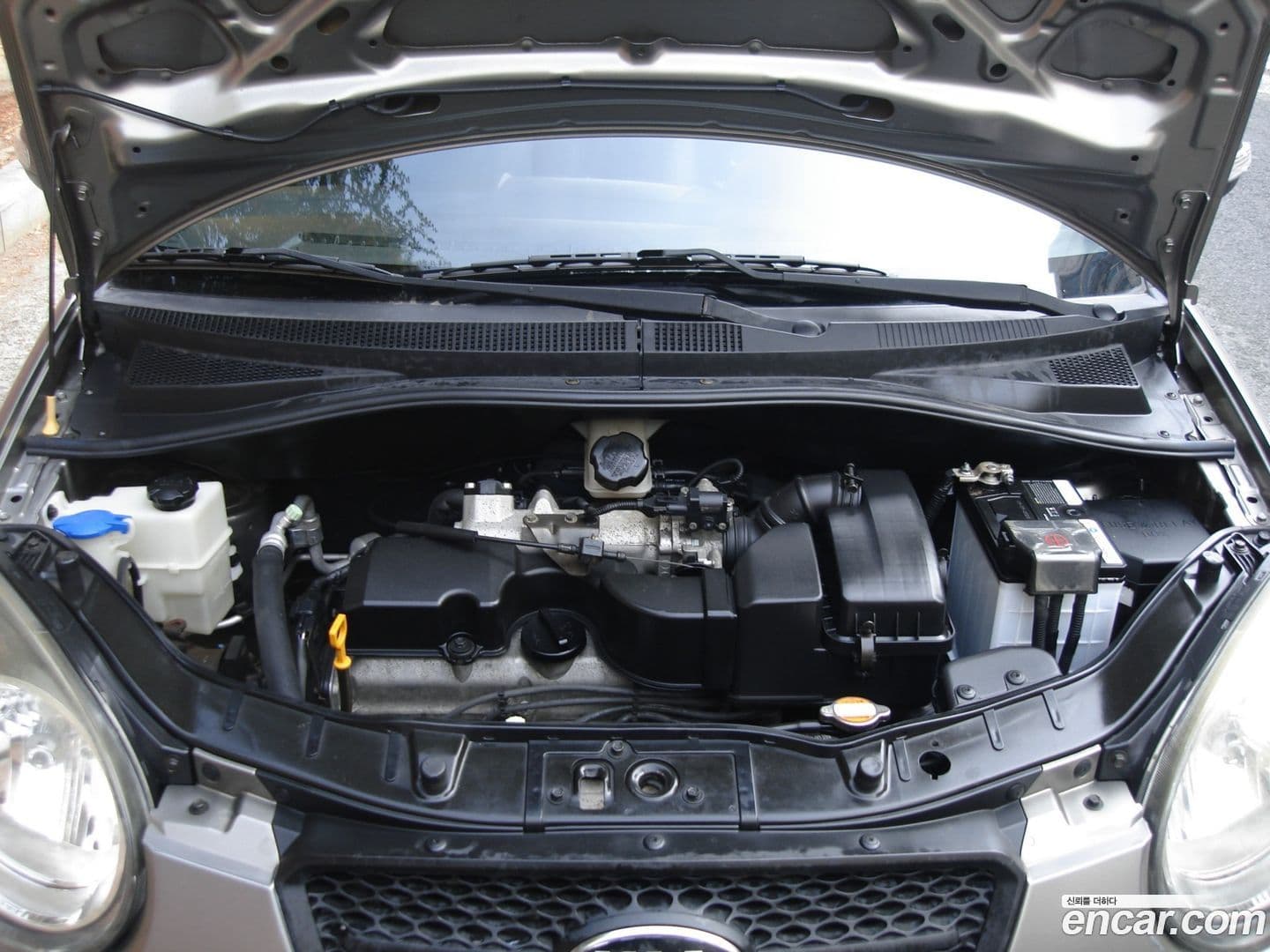 Main__Slider__Photo:morning Kia 2008.3-15