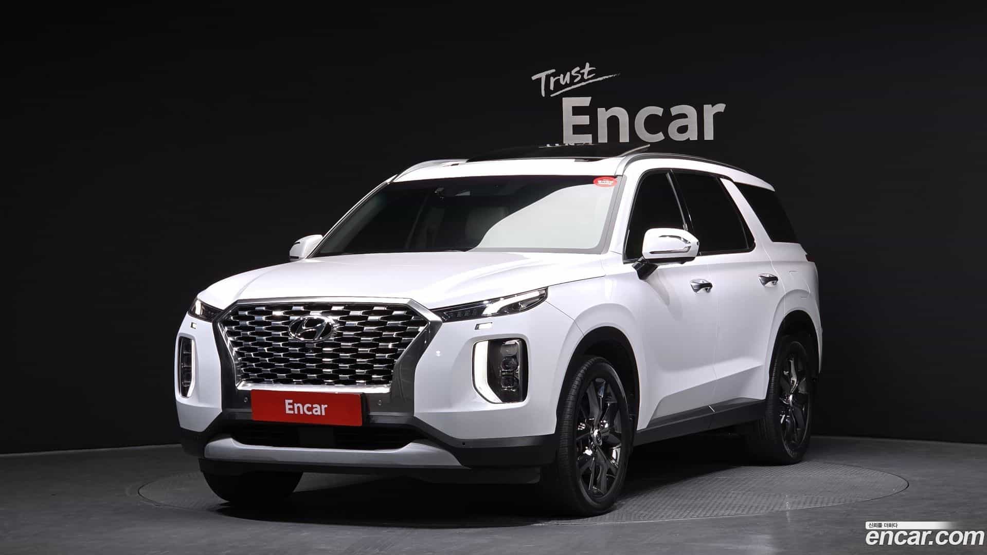 Palisade Hyundai 2019.0-OUTER-001