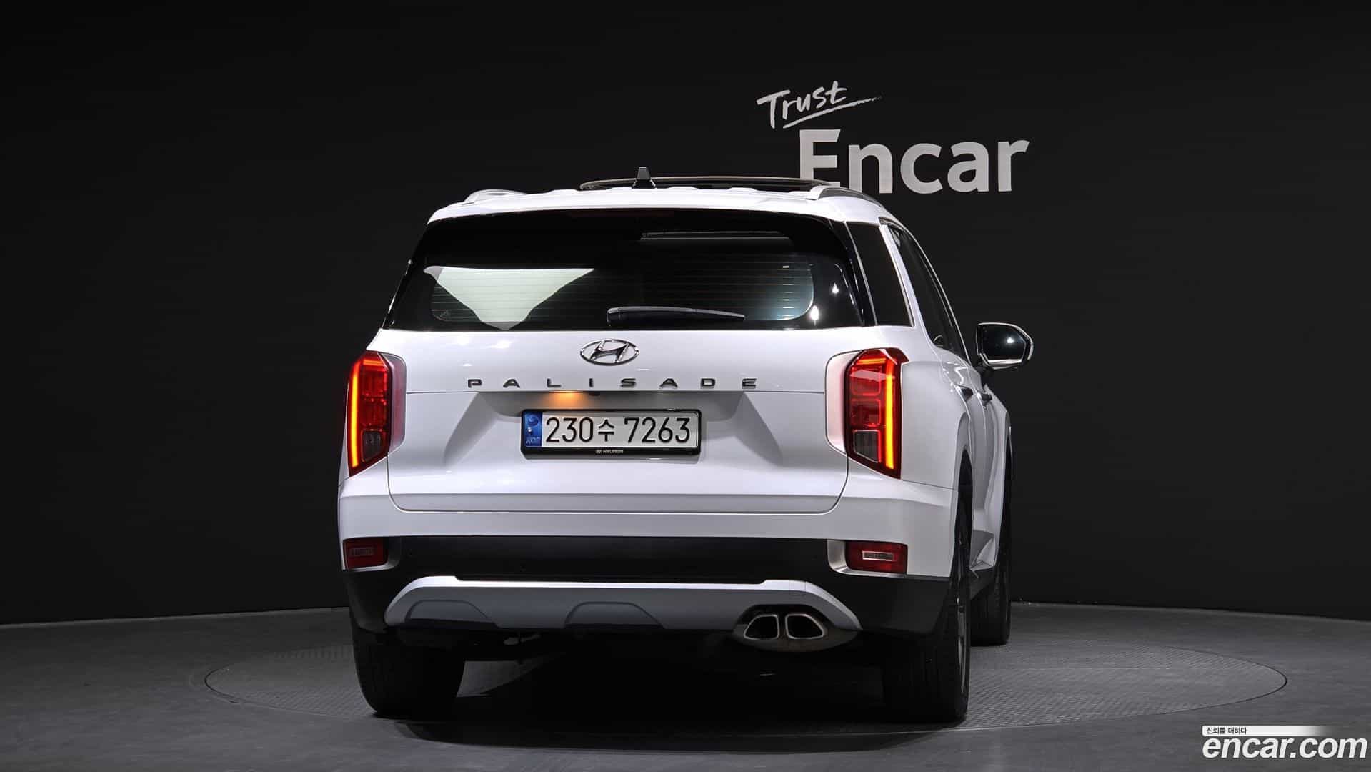 Palisade Hyundai 2019.0-OUTER-004