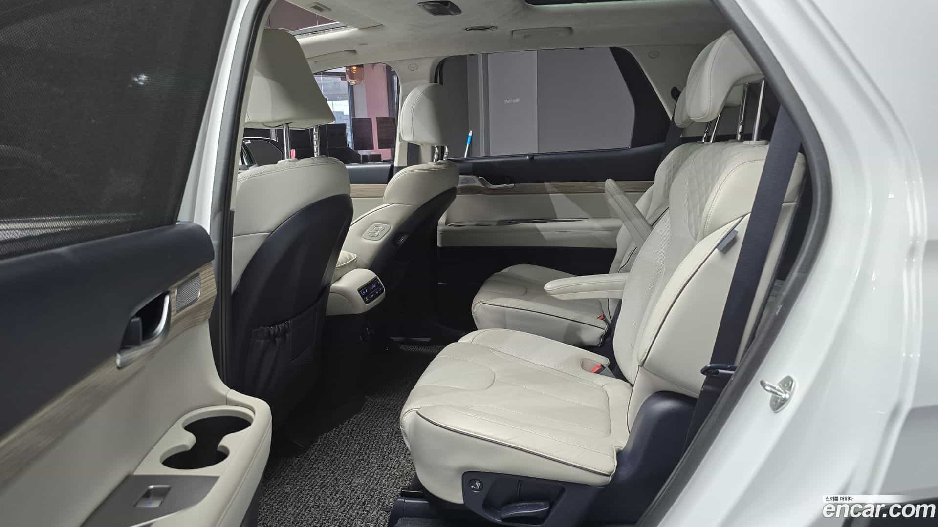 Palisade Hyundai 2019.0-OPTION-016