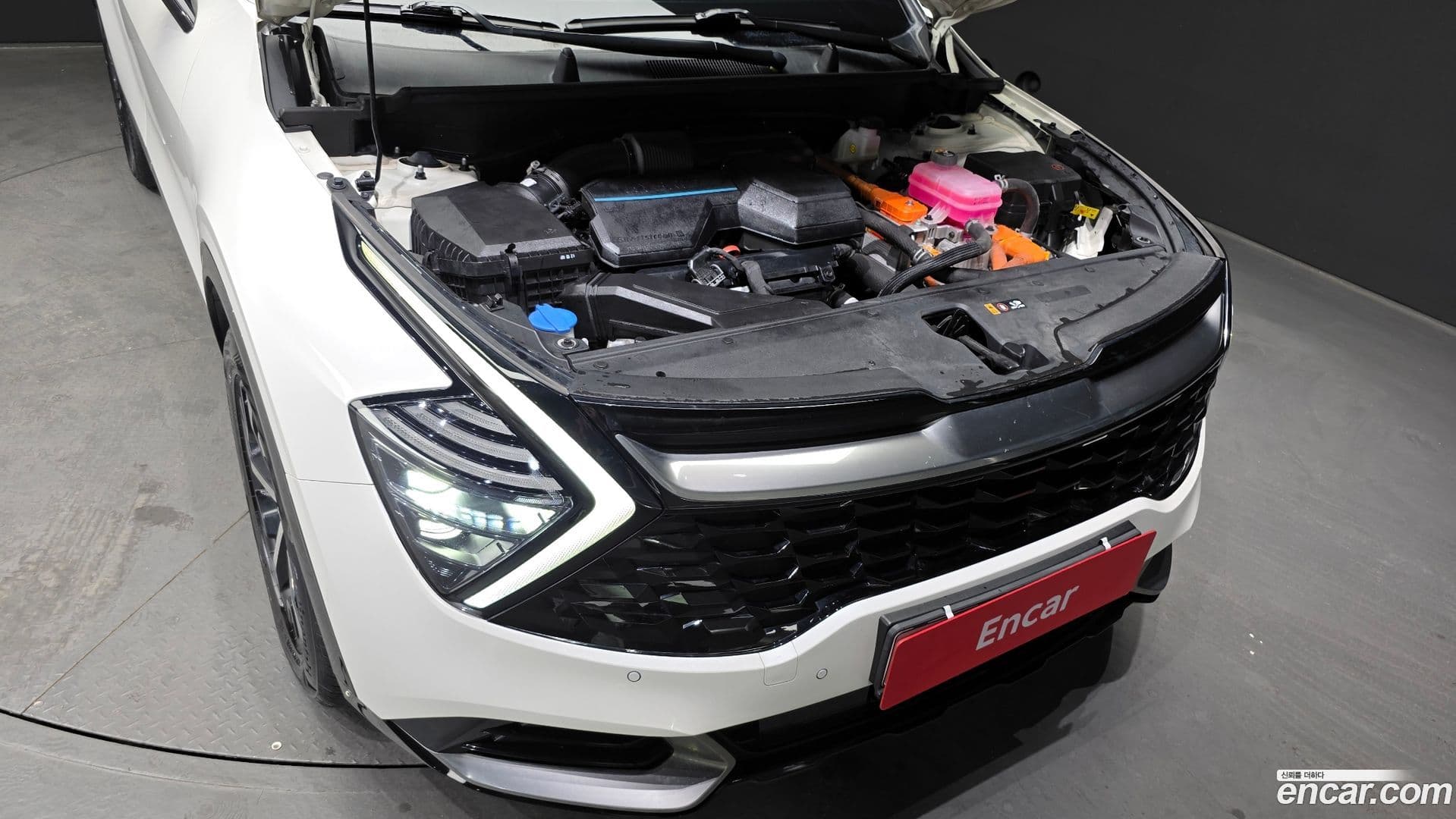 Main__Slider__Photo:Sportage Kia 2023.8-5