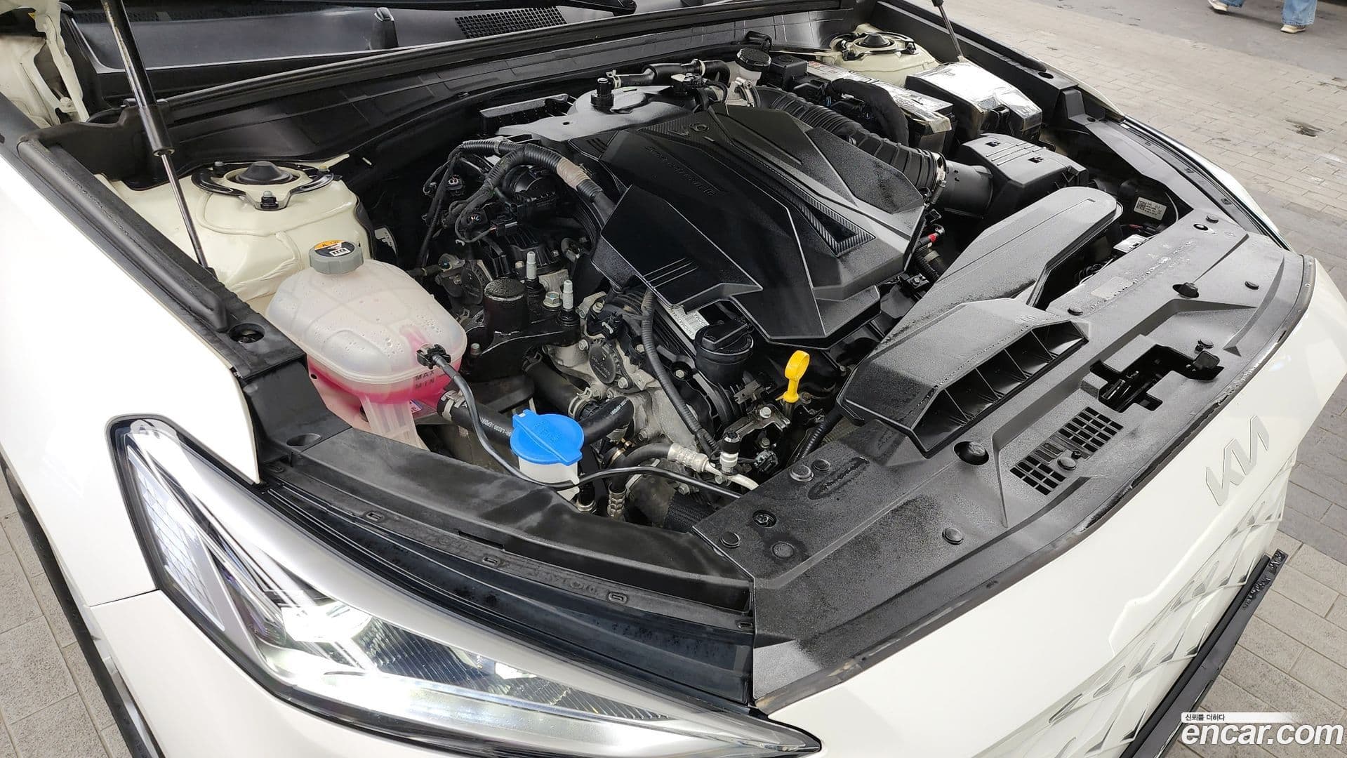 Main__Slider__Photo:K8 Kia 2021.9-5