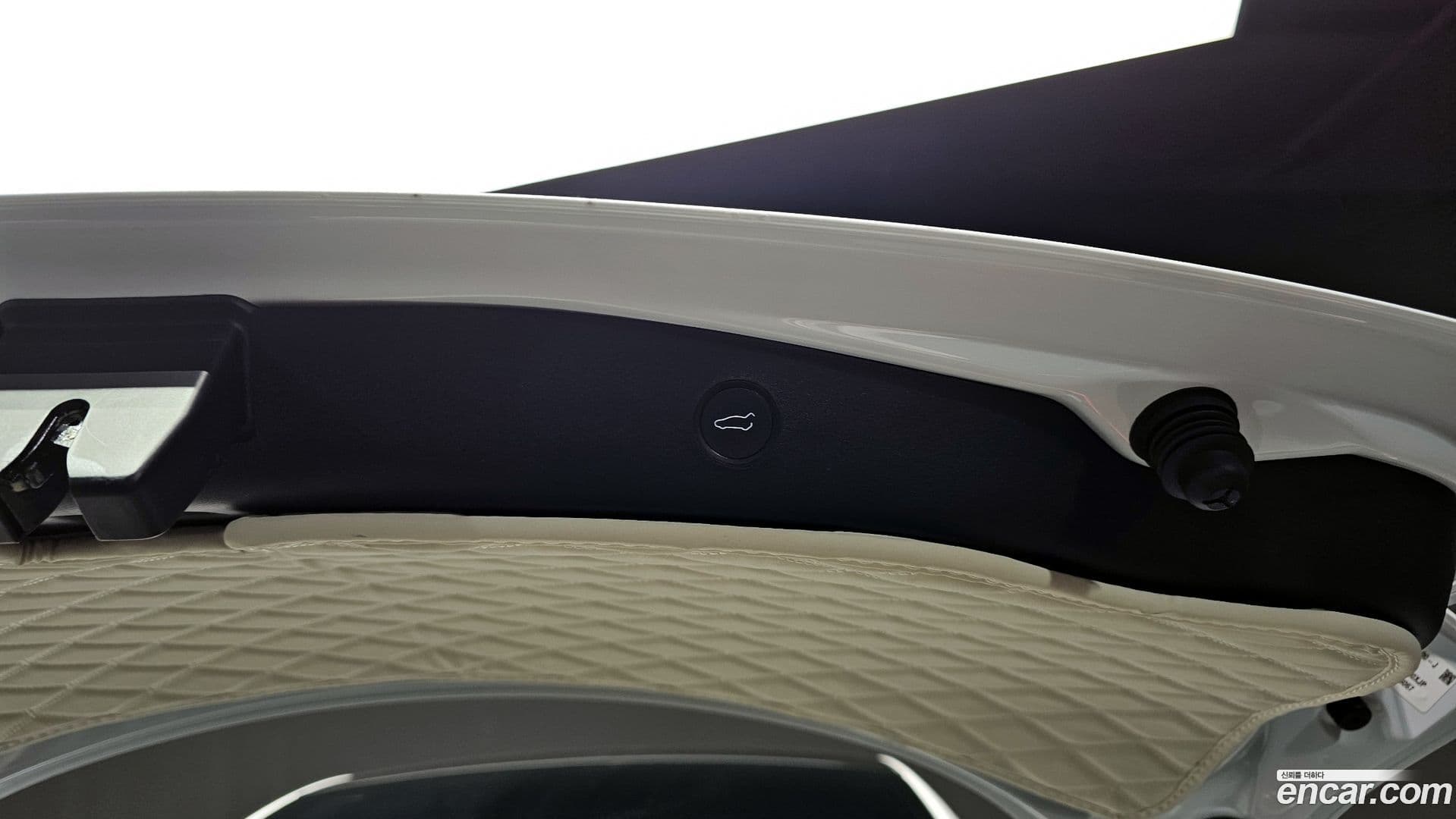 Main__Slider__Photo:Model 3 Tesla 2022.5-19