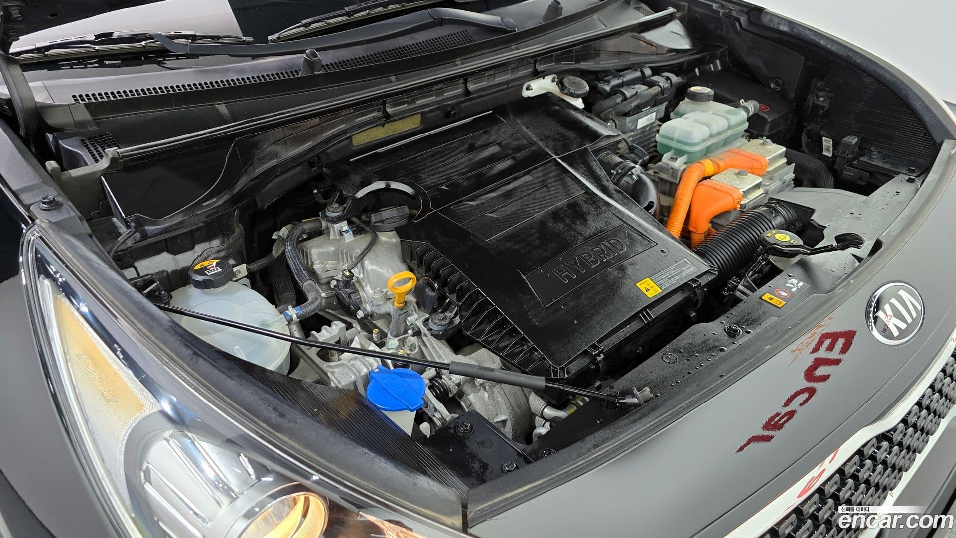 Main__Slider__Photo:Niro Kia 2018.3-5