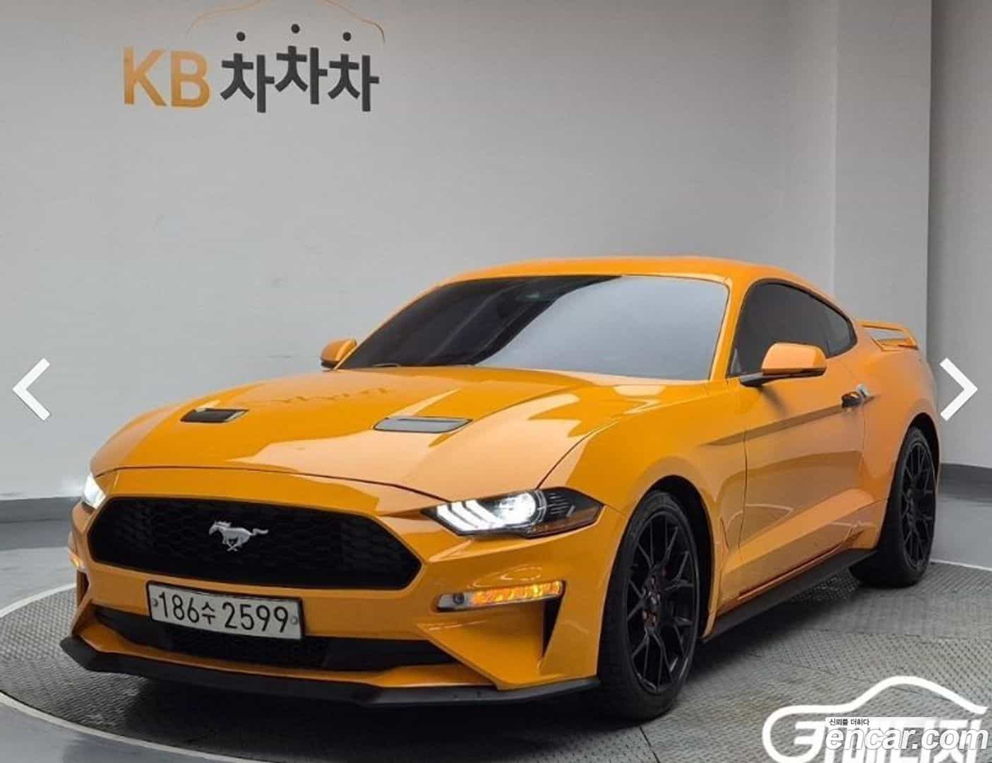 Mustang Ford 2018.3-OUTER-001
