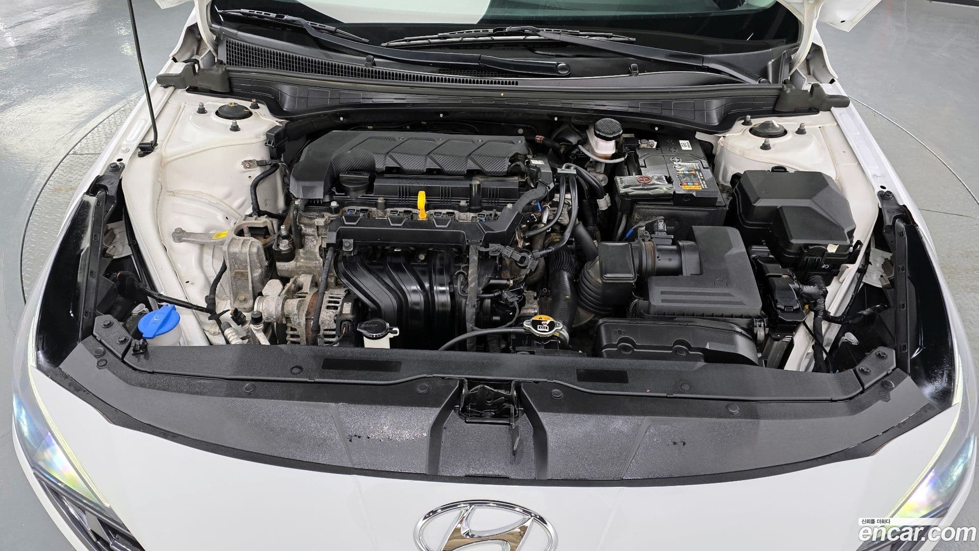 Main__Slider__Photo:AVANTE Hyundai 2021.8-5