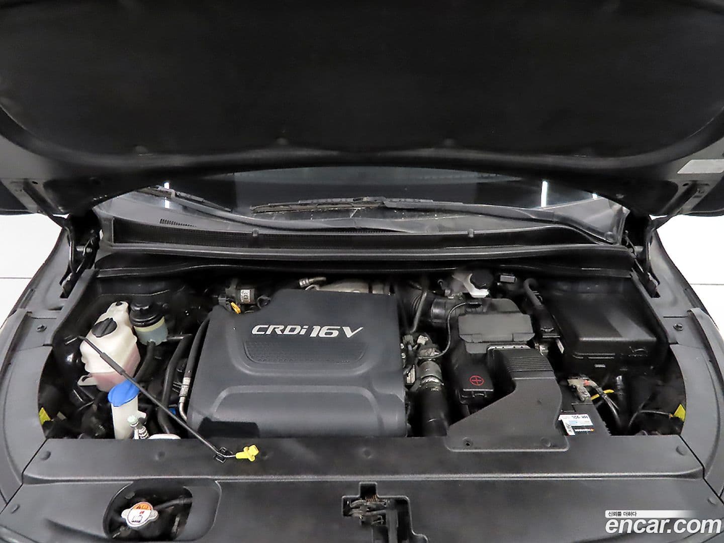 Main__Slider__Photo:Canival Kia 2015.9-18