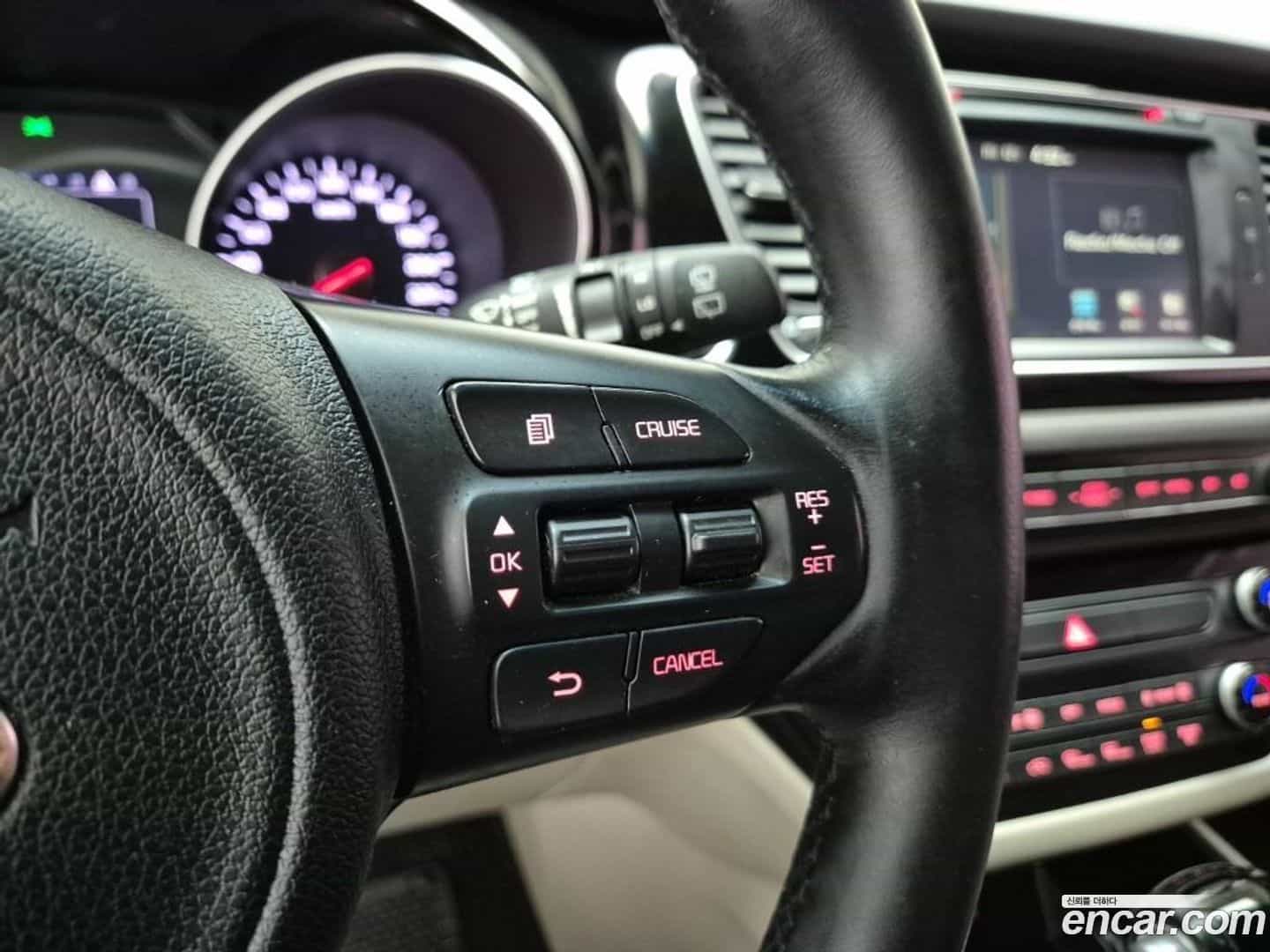 Canival Kia 2014.6-OPTION-019