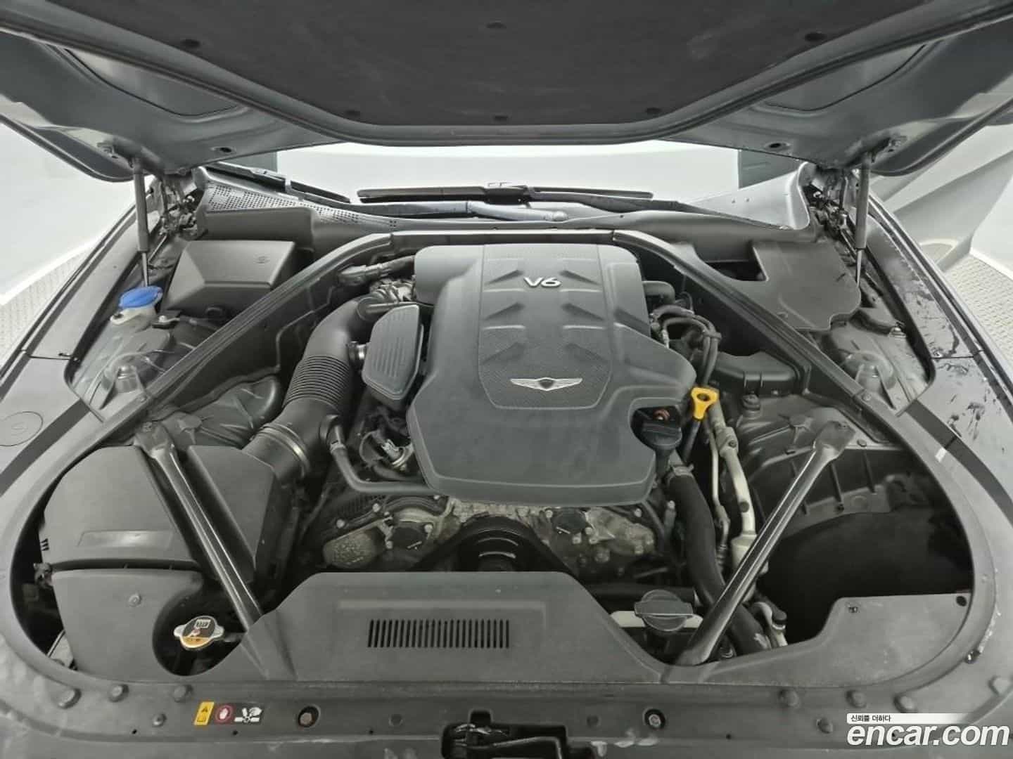 G80 Genesis 2017.0-OUTER-005