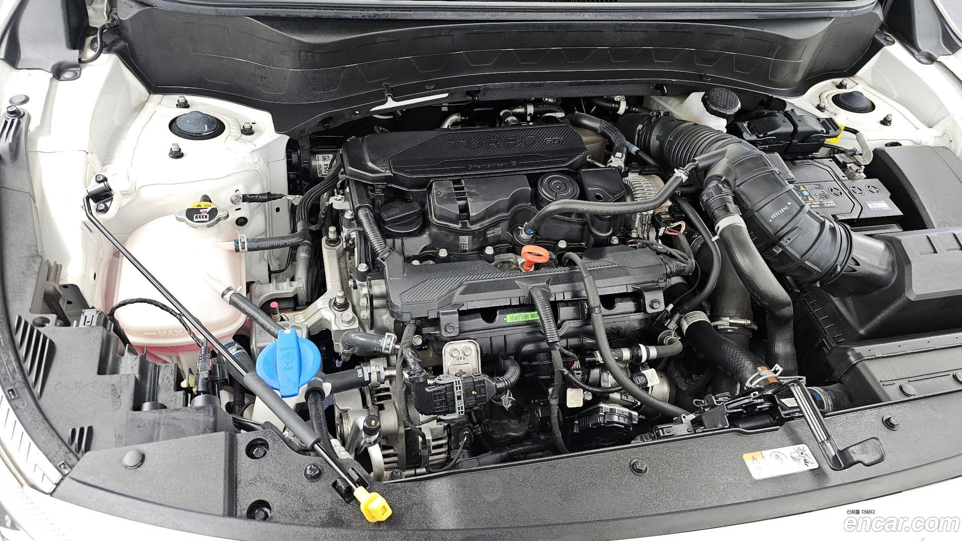 Main__Slider__Photo:Seltos Kia 2024.4-5