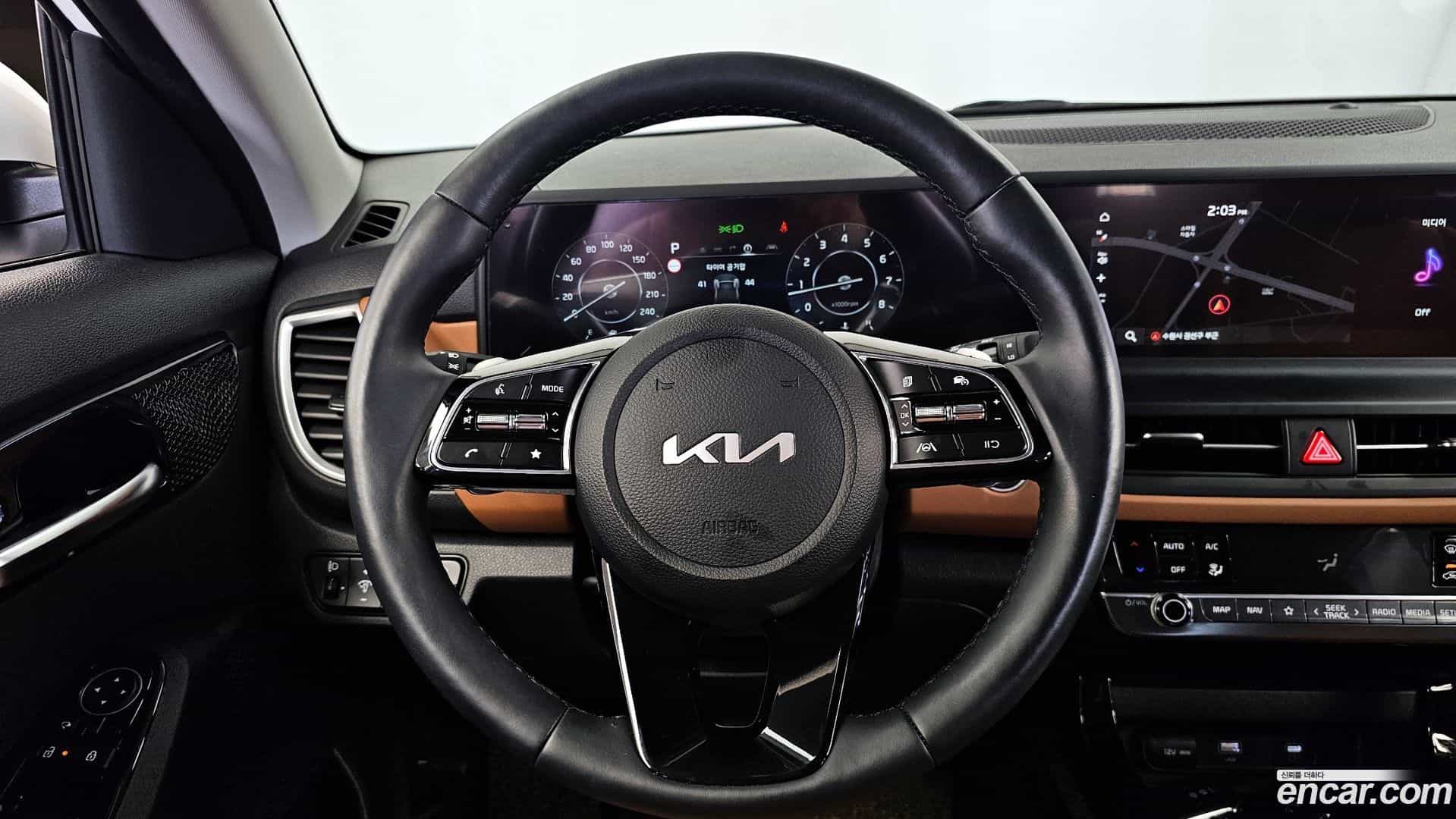 Seltos Kia 2024.4-OPTION-017