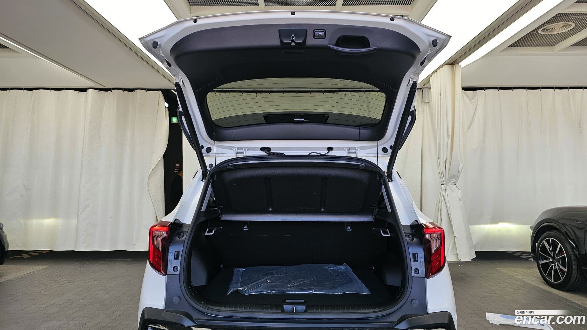 Main__Slider__Photo:Seltos Kia 2024.4-19