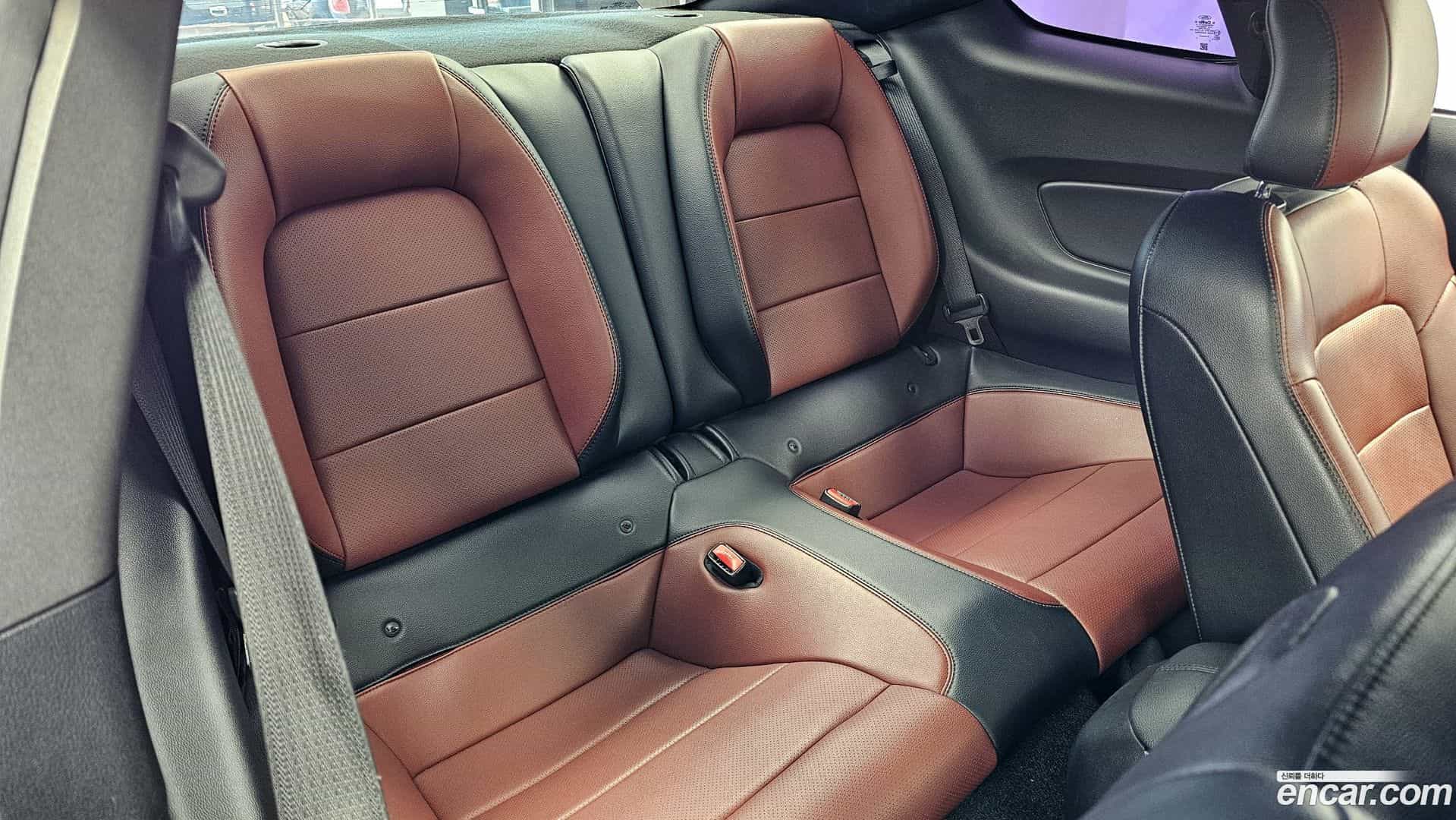 Mustang Ford 2016.8-OPTION-016