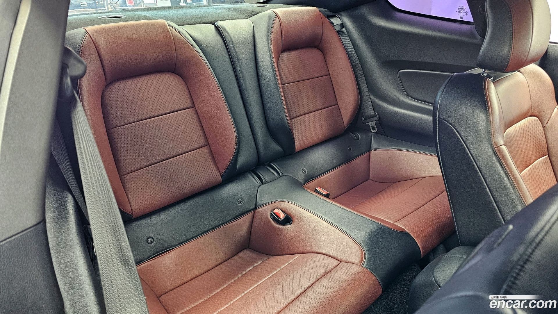 Main__Slider__Photo:Mustang Ford 2016.8-11