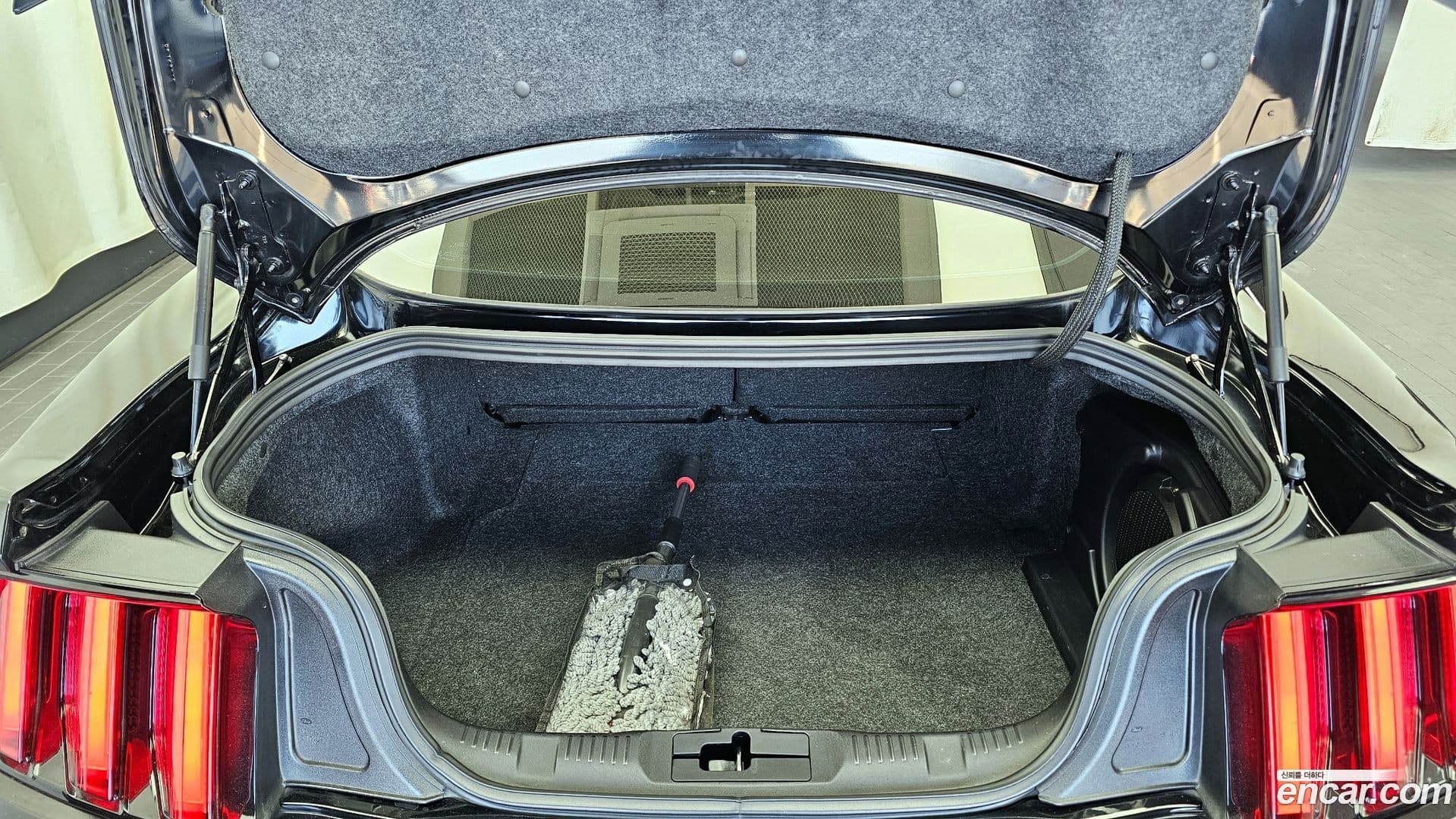 Main__Slider__Photo:Mustang Ford 2016.8-19