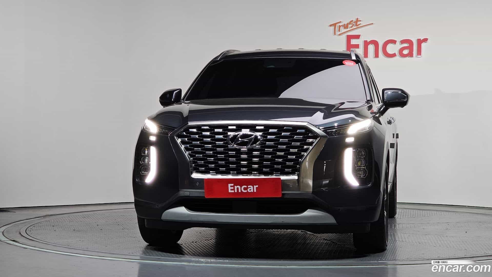 Palisade Hyundai 2019.6-OUTER-003