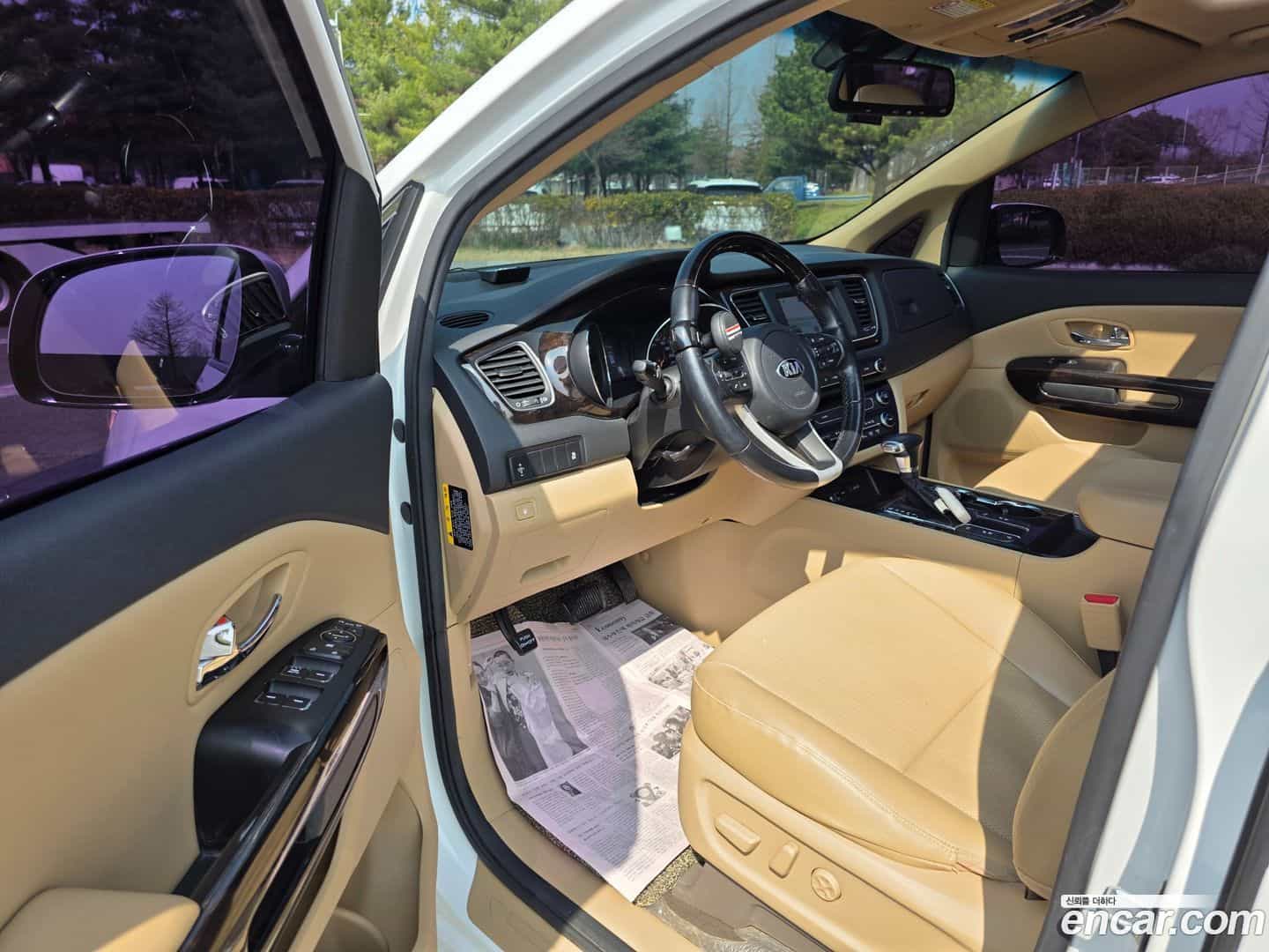 Canival Kia 2018.6-OPTION-016