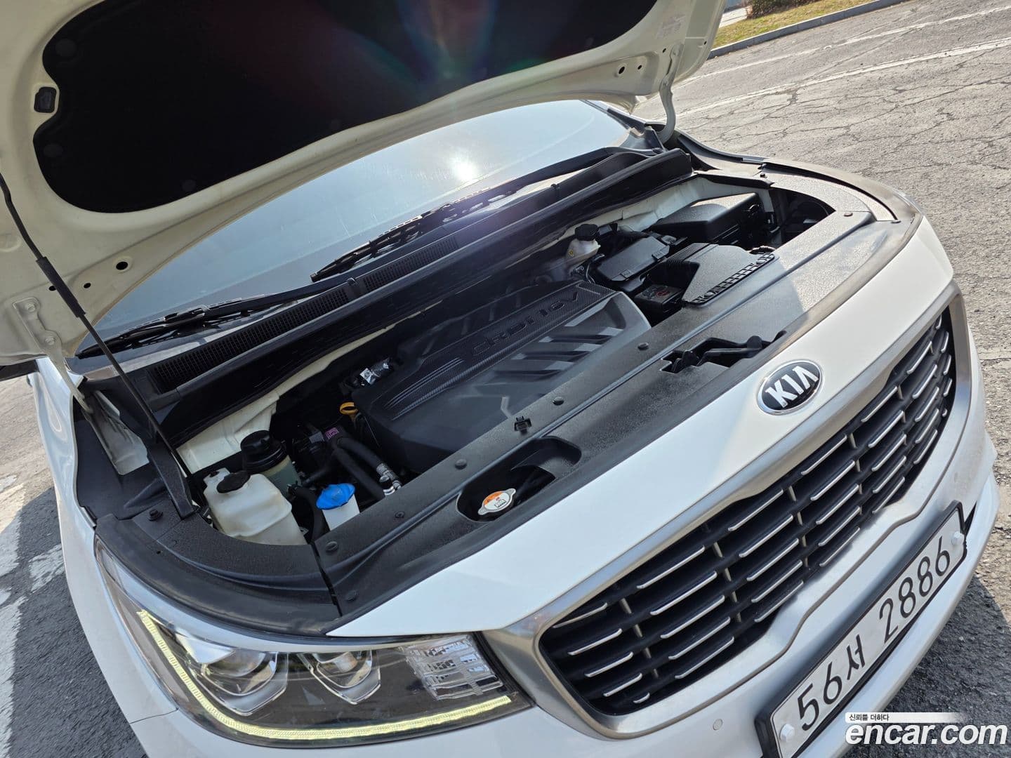 Main__Slider__Photo:Canival Kia 2018.6-19