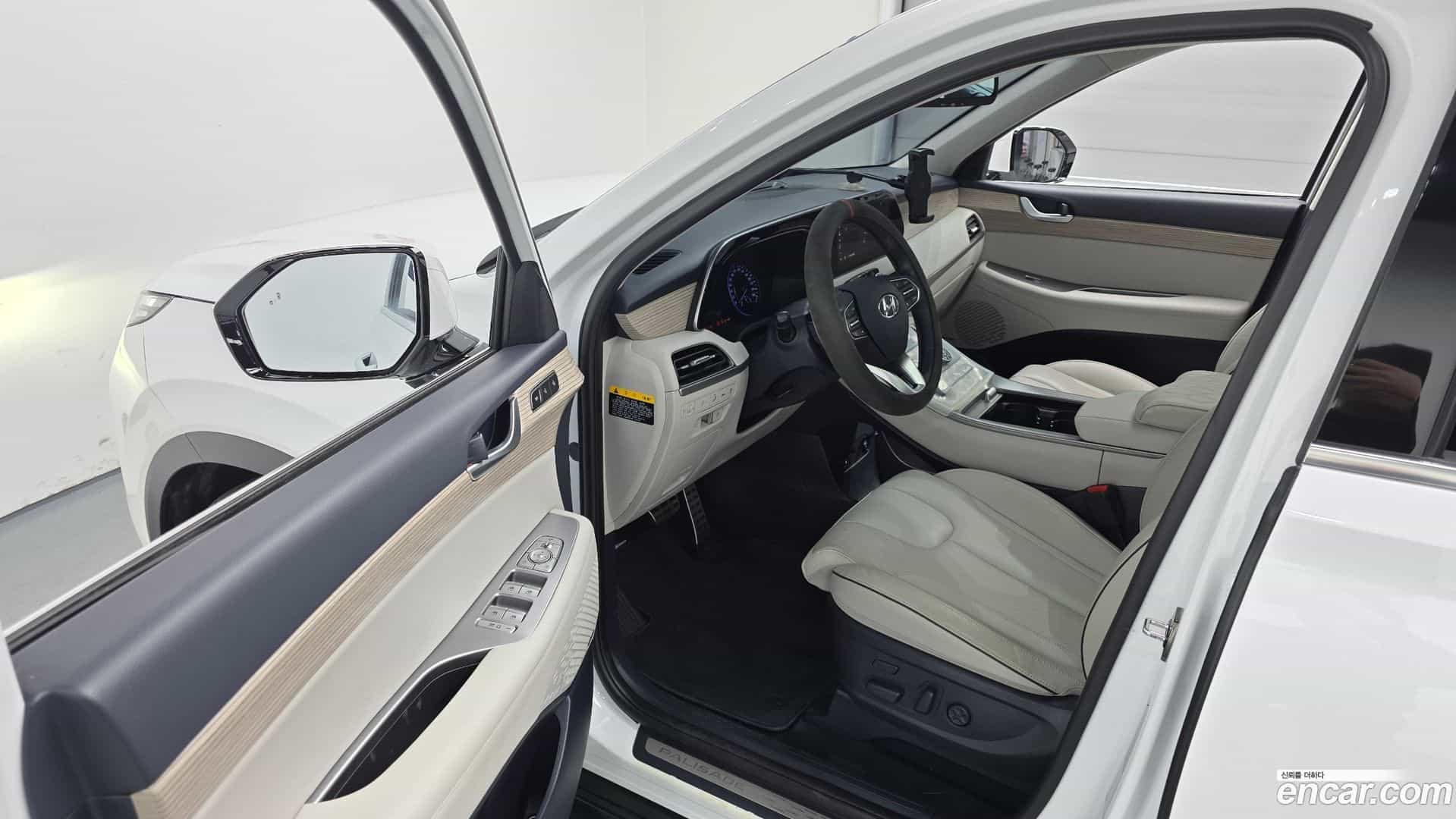 Palisade Hyundai 2019.3-OPTION-015