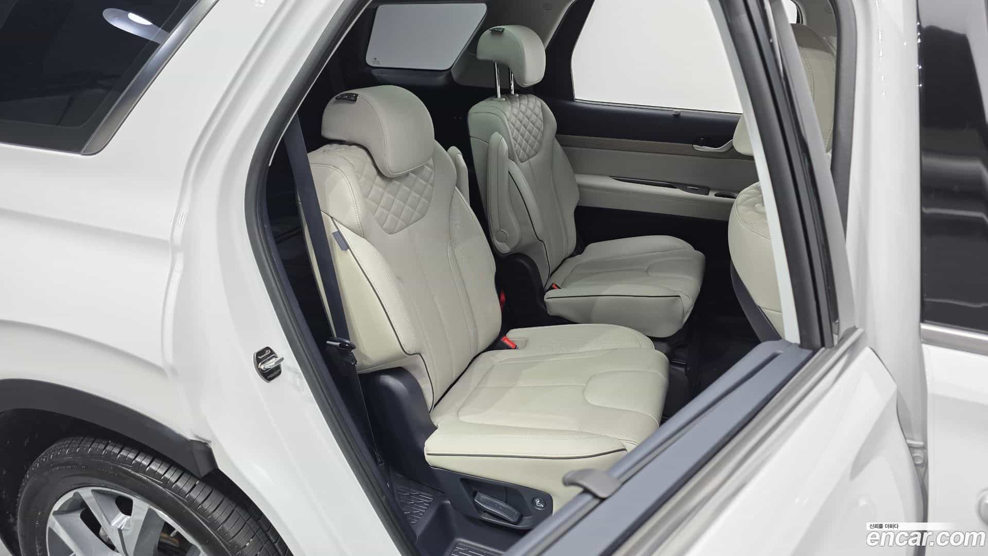 Palisade Hyundai 2019.3-OPTION-016