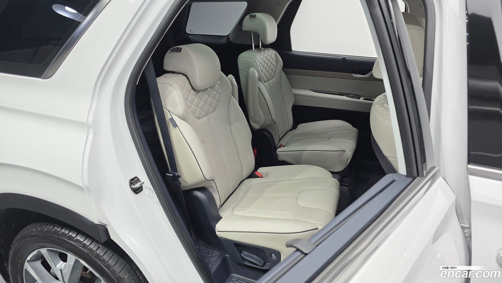 Main__Slider__Photo:Palisade Hyundai 2019.3-11