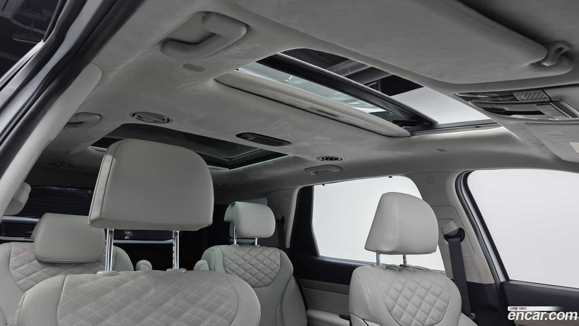 Palisade Hyundai 2019.3-OPTION-020