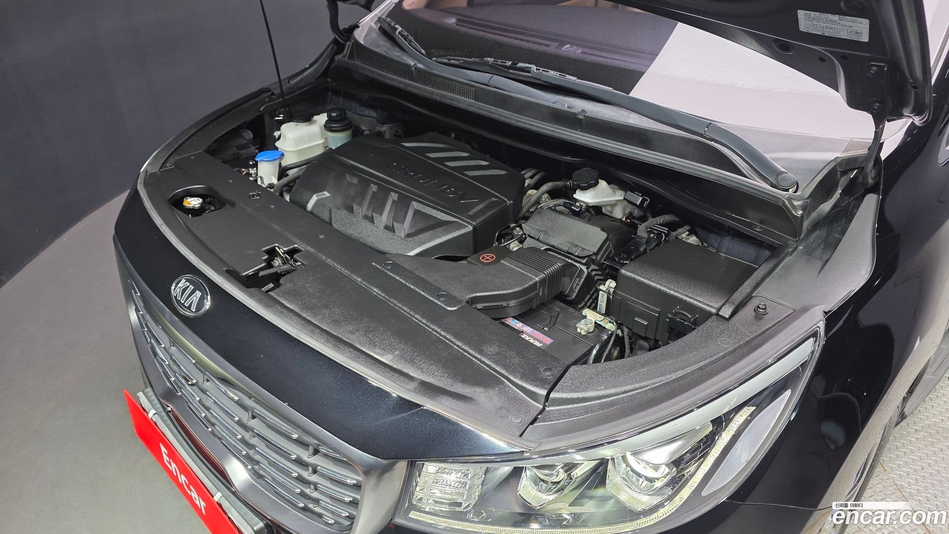 Main__Slider__Photo:Canival Kia 2018.6-5