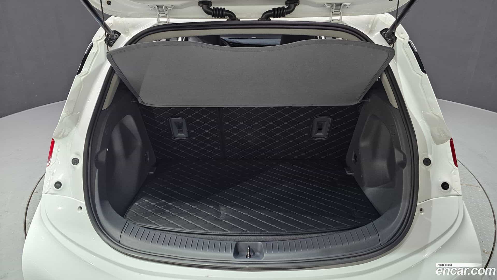 Bolt EV ChevroletGMDaewoo 2019.11-OPTION-024