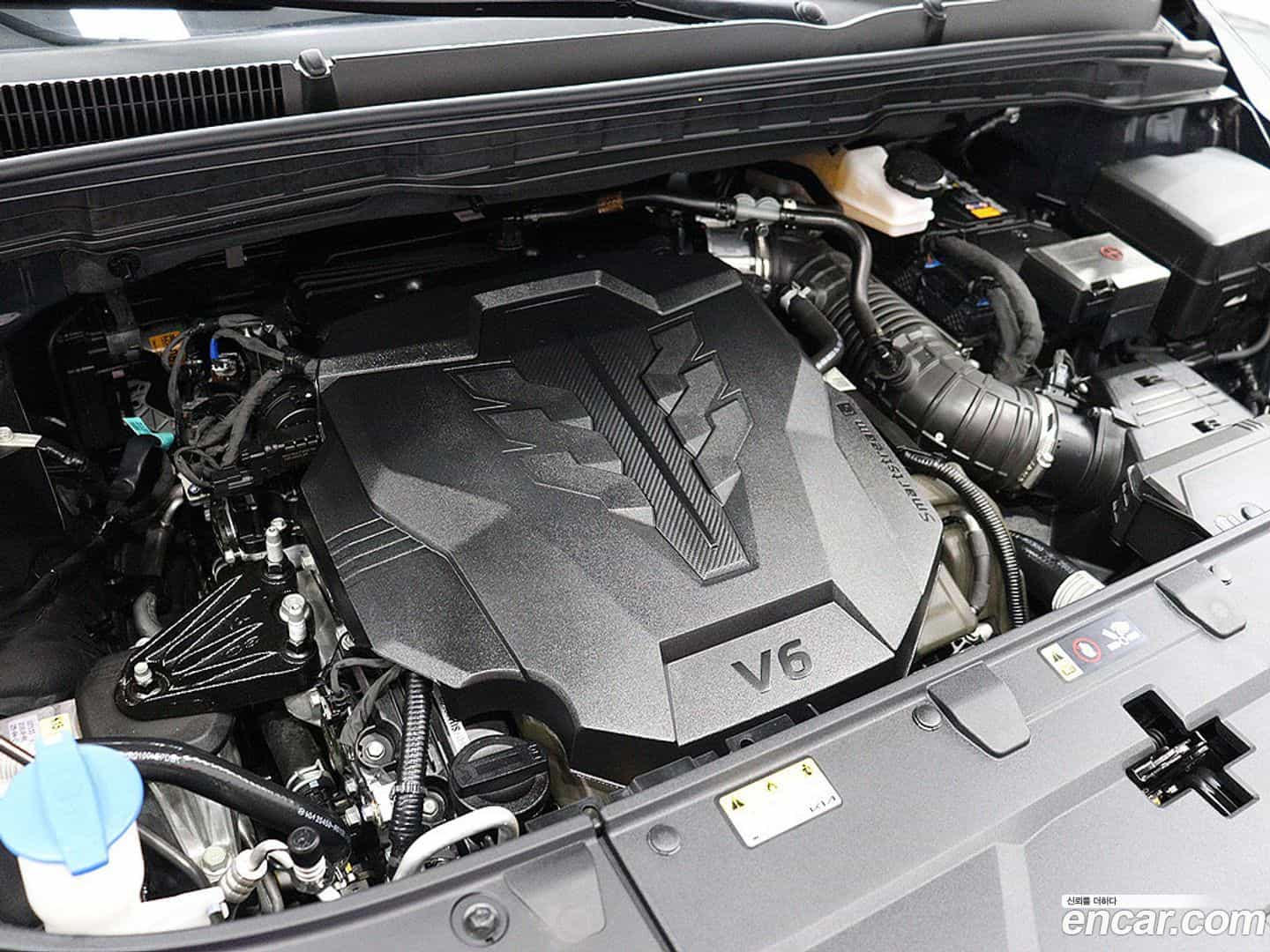 Canival Kia 2025.4-OPTION-022