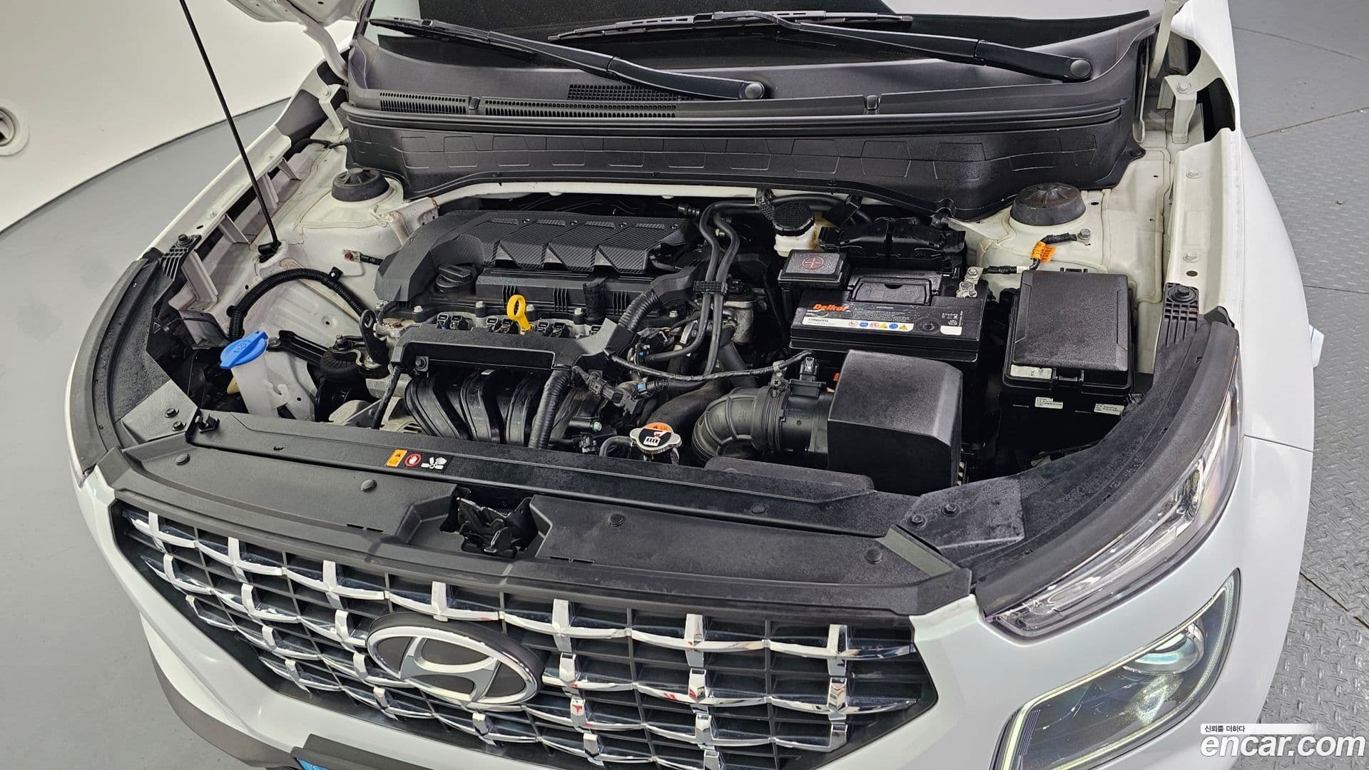 Main__Slider__Photo:Venue Hyundai 2021.7-5