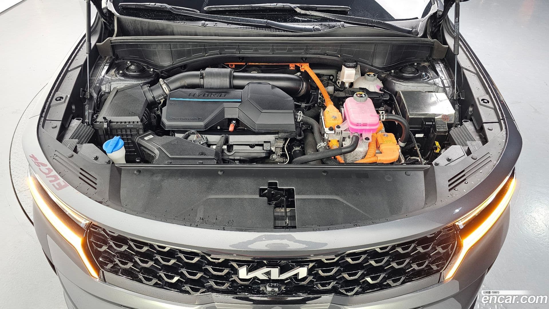 Main__Slider__Photo:Sorento Kia 2022.1-5