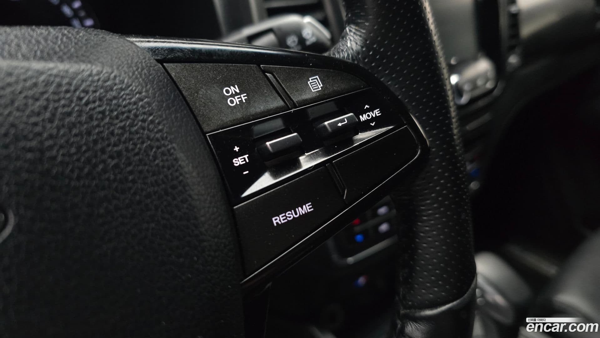 Main__Slider__Photo:Rexton KG_Mobility_Ssangyong 2021.11-16