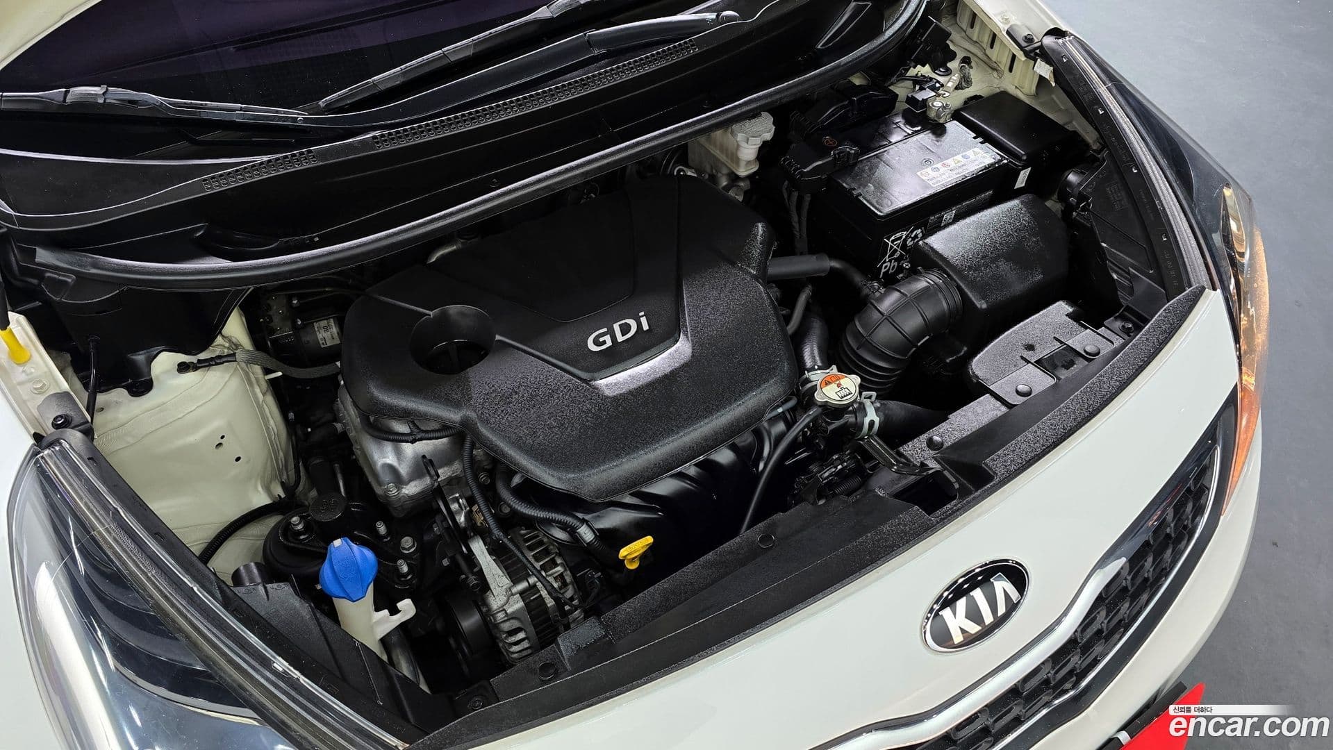 Main__Slider__Photo:pride Kia 2014.10-5