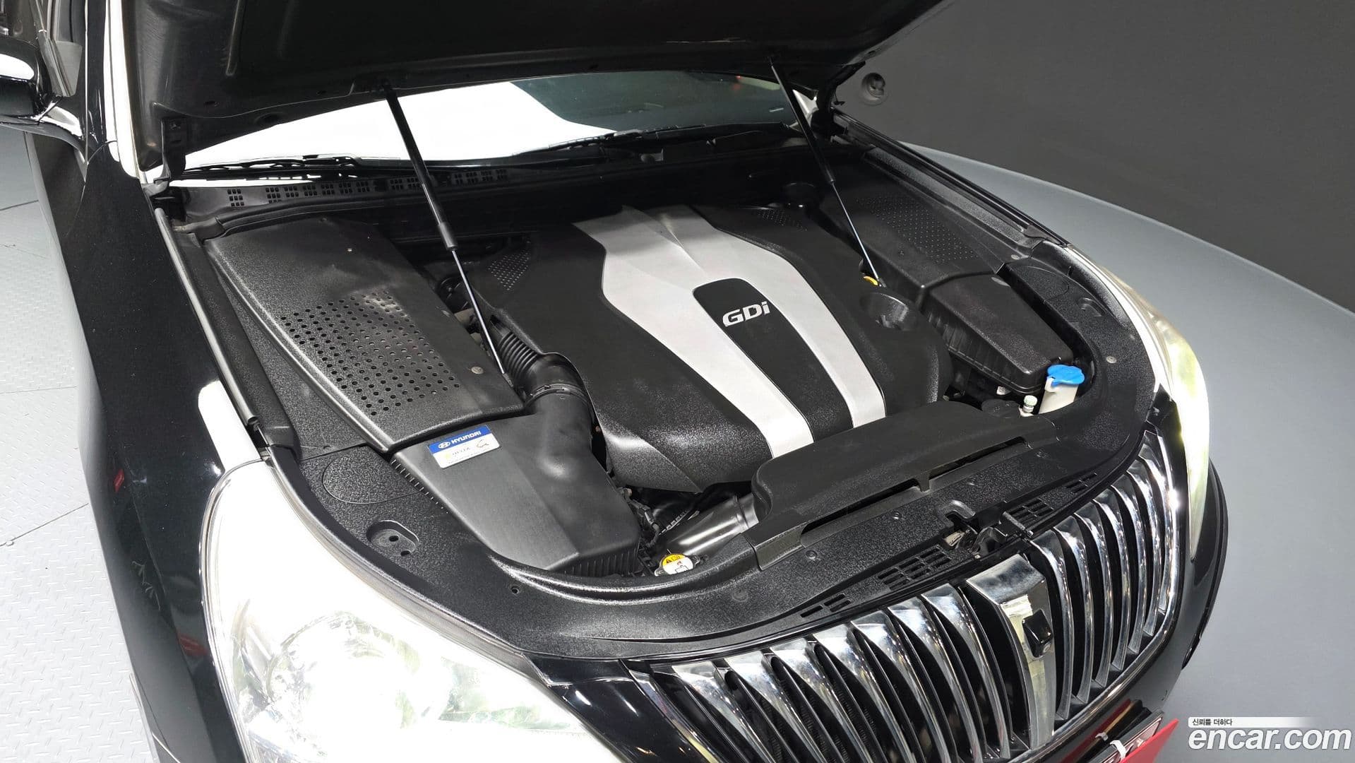 Main__Slider__Photo:Equus Hyundai 2012.9-5