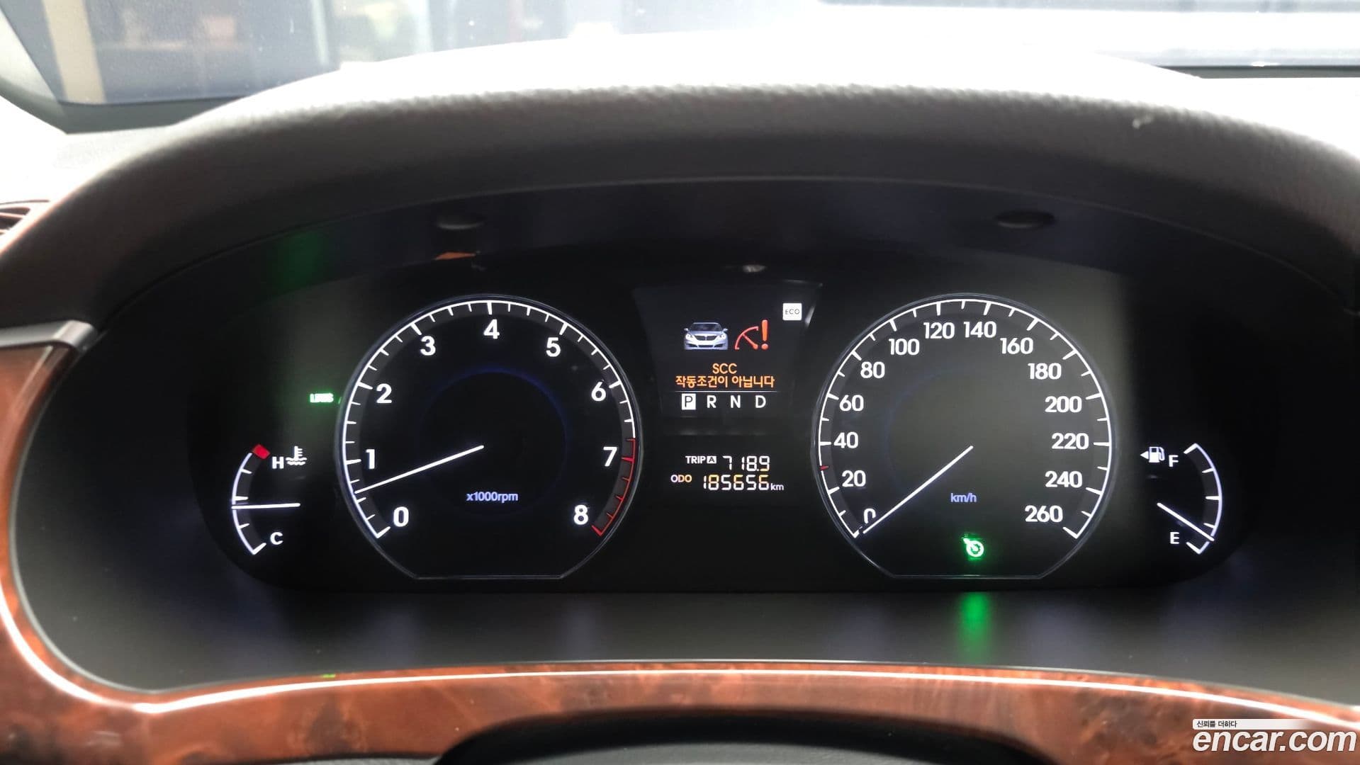 Main__Slider__Photo:Equus Hyundai 2012.9-7