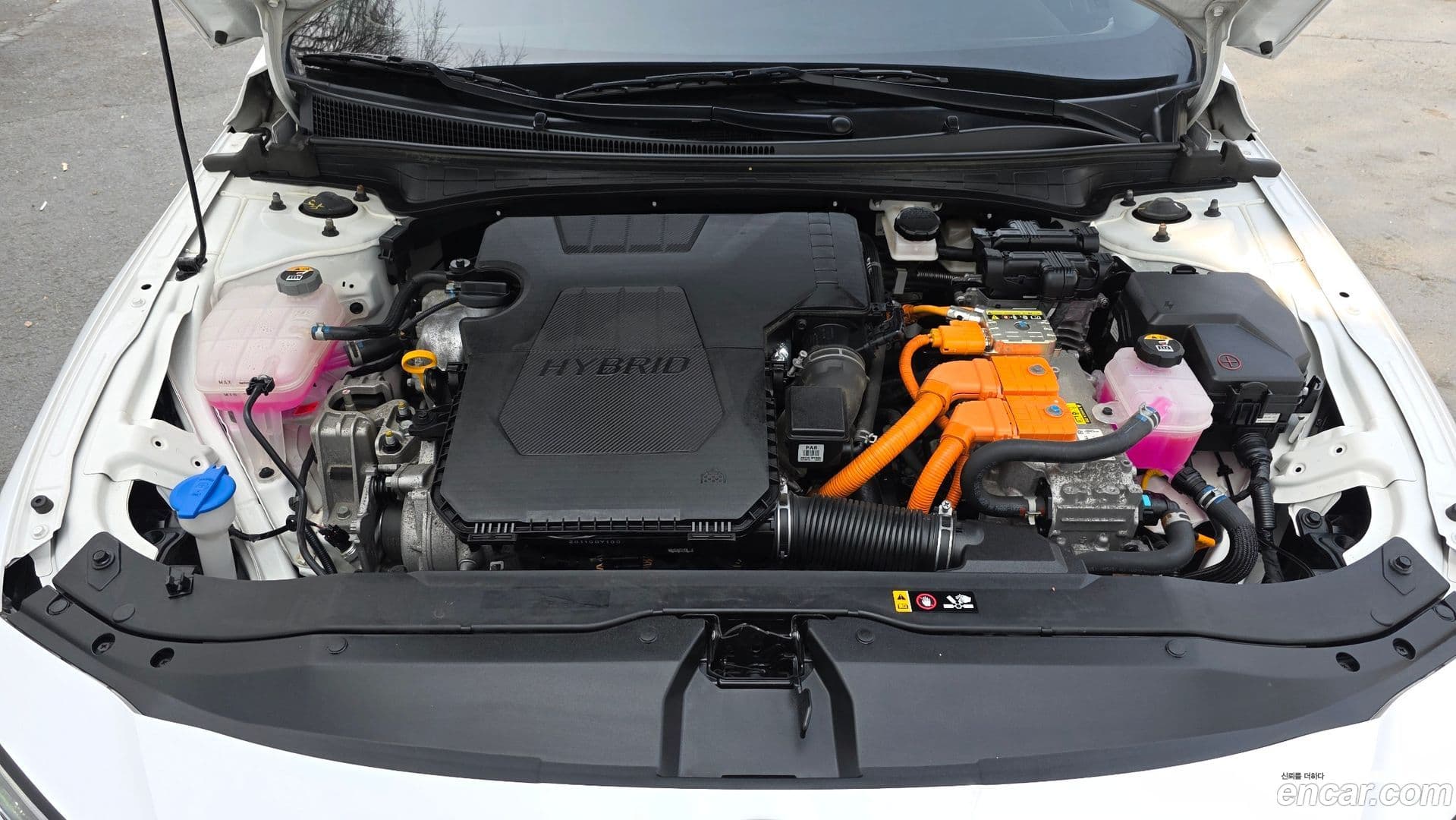 Main__Slider__Photo:AVANTE Hyundai 2023.6-5