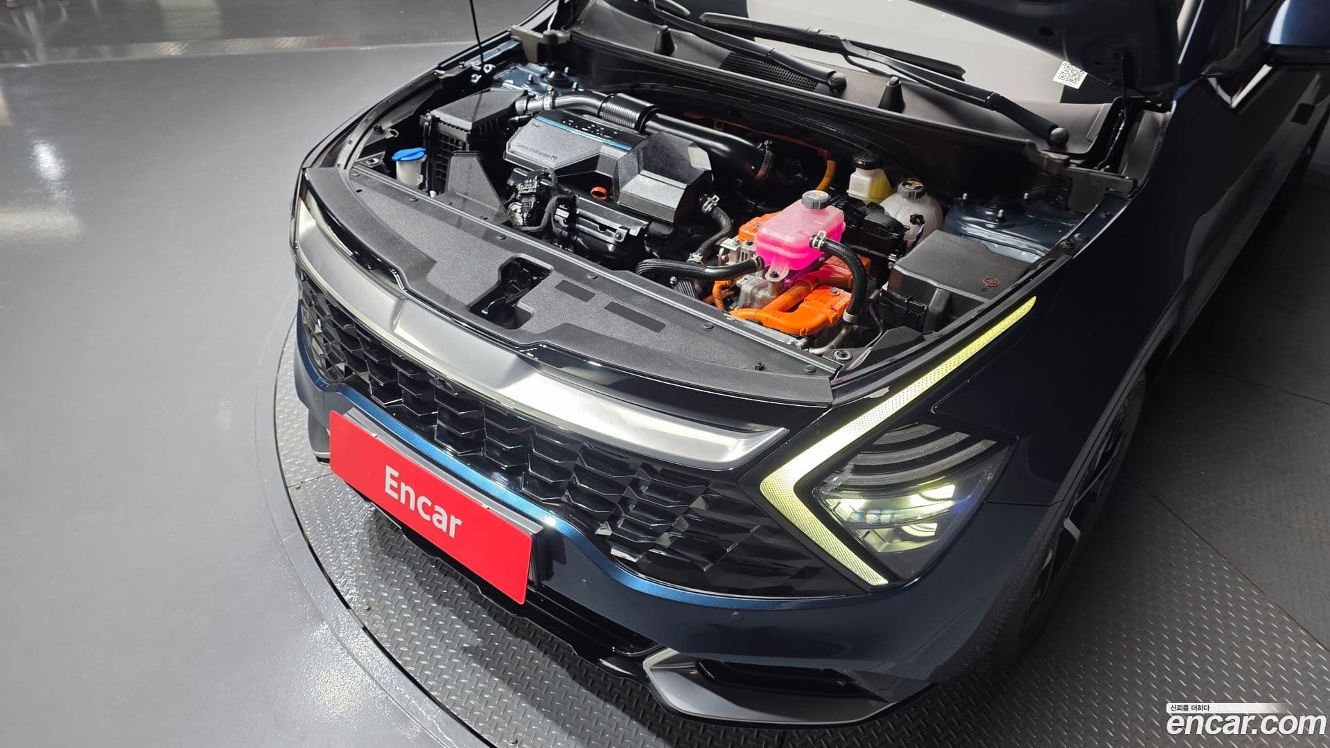 Main__Slider__Photo:Sportage Kia 2022.10-5