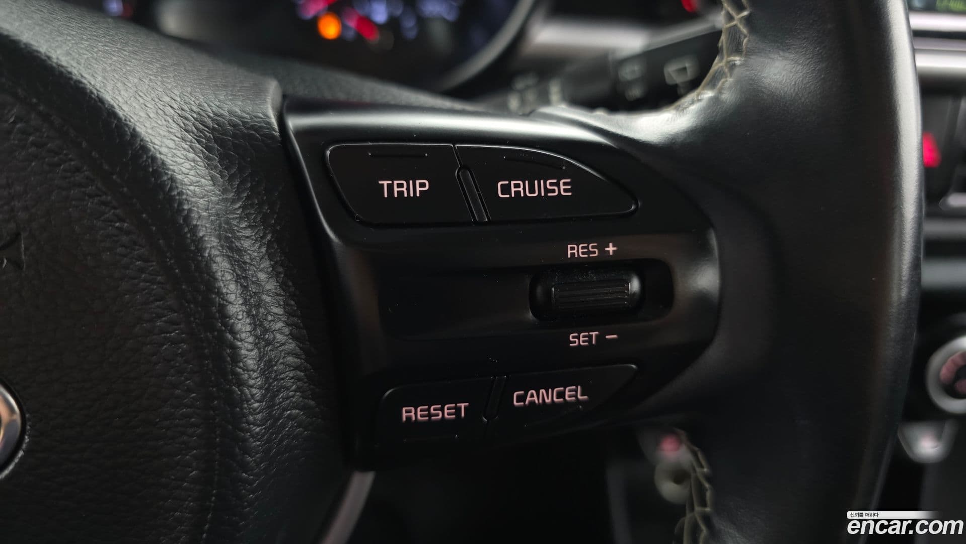 Main__Slider__Photo:morning Kia 2019.2-19