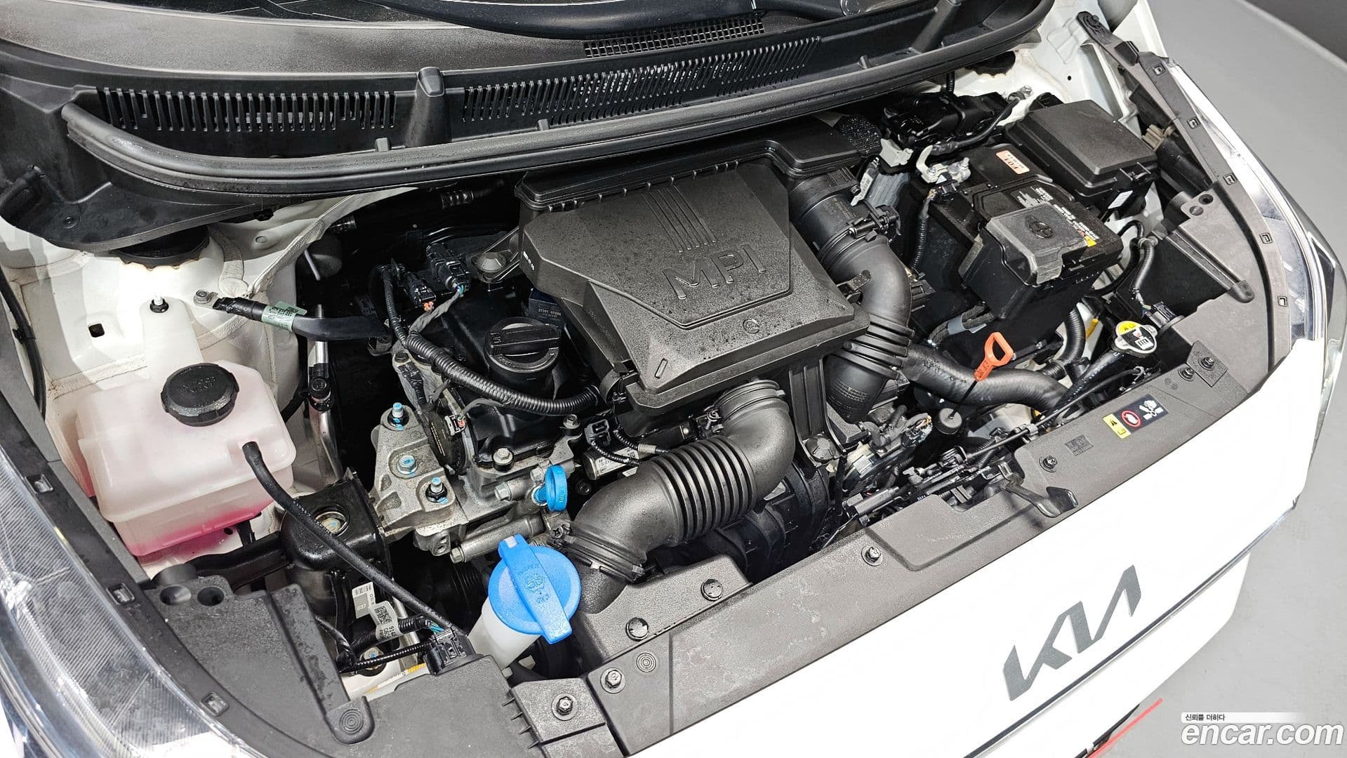 Main__Slider__Photo:morning Kia 2023.6-5